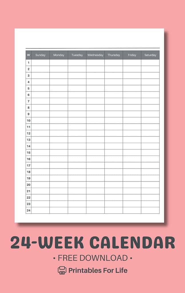 A minimalist 24-week undated calendar template displayed against a pink background. The weeks are labeled numerically along the left side, and columns represent days of the week