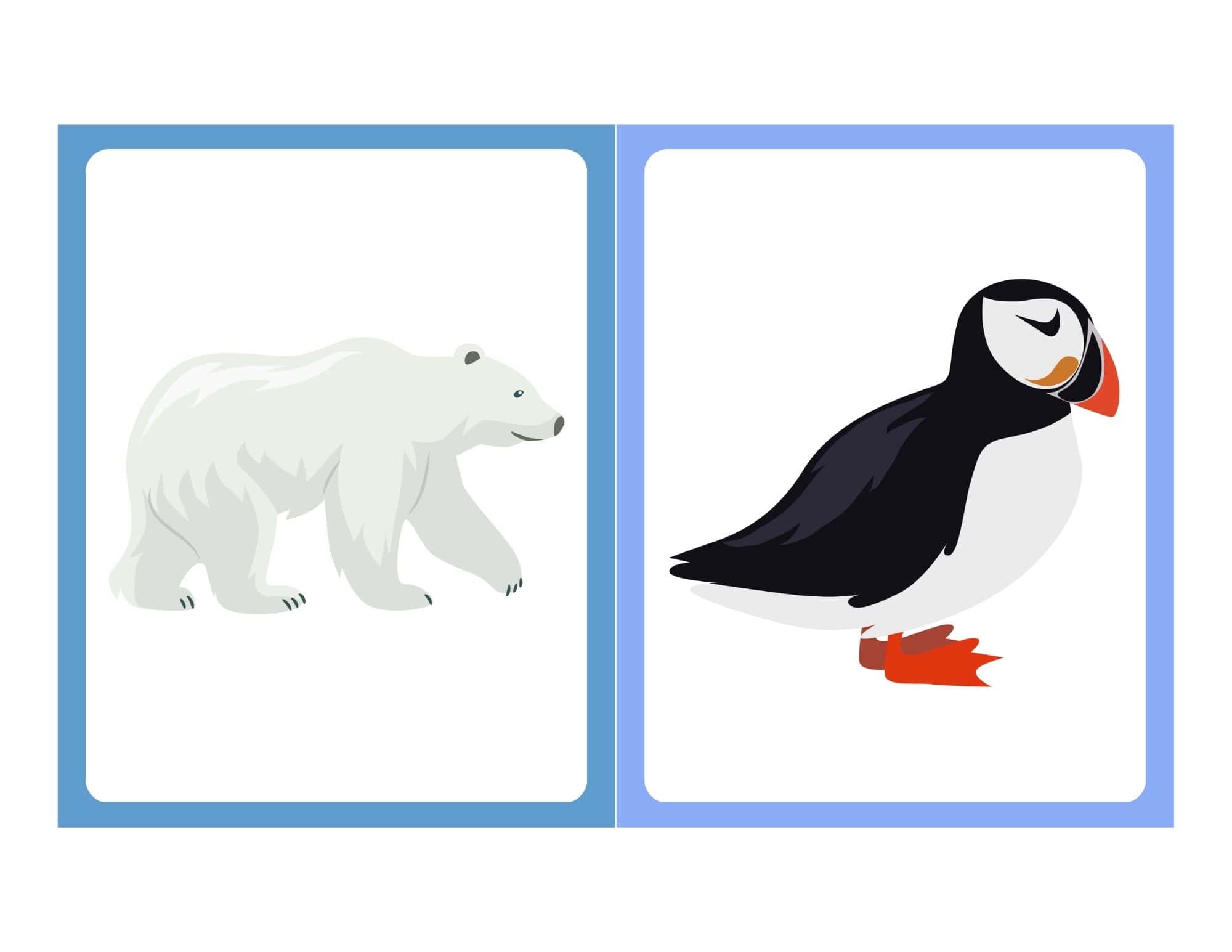 Flashcard with clip art of a penguin