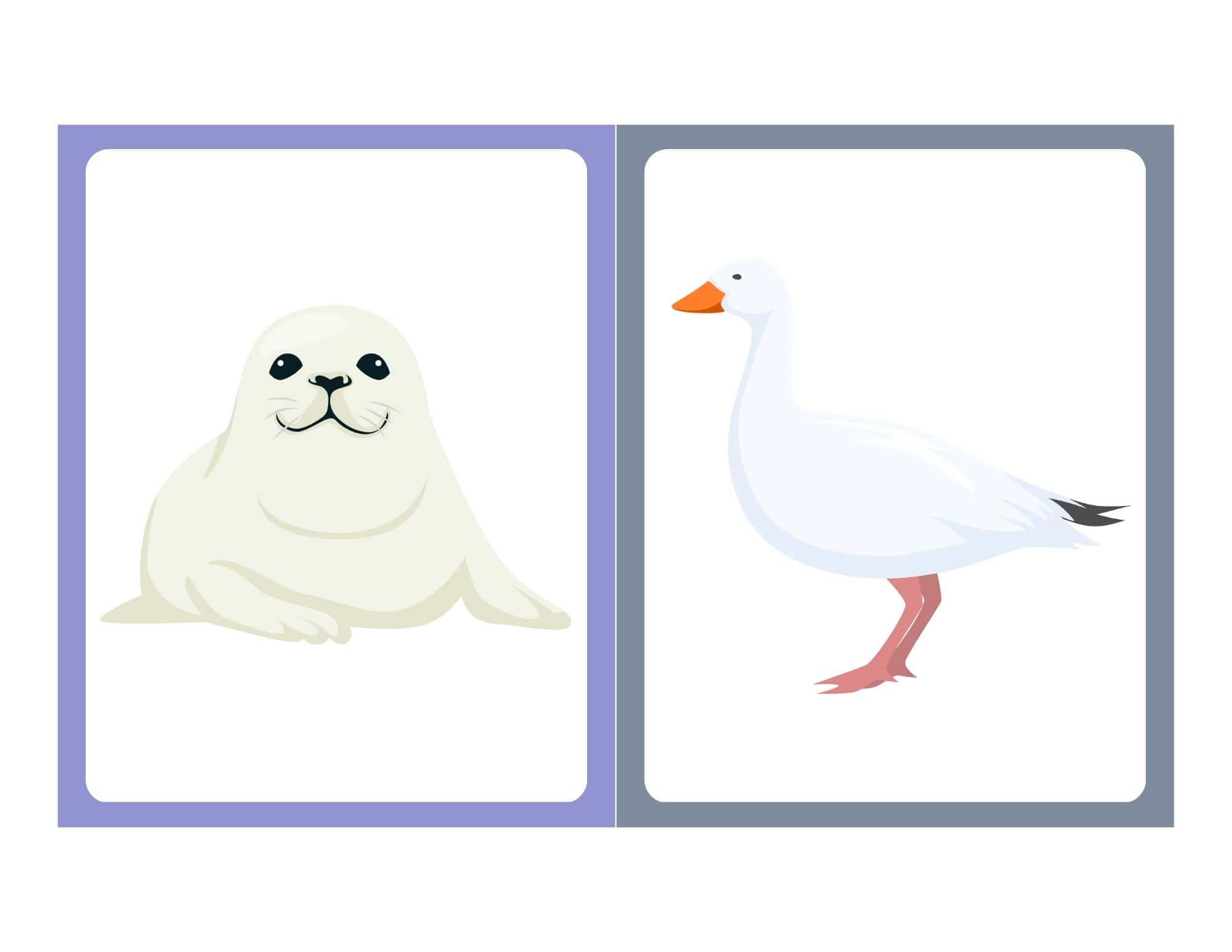 Flashcard with clip art of a bird with a beak