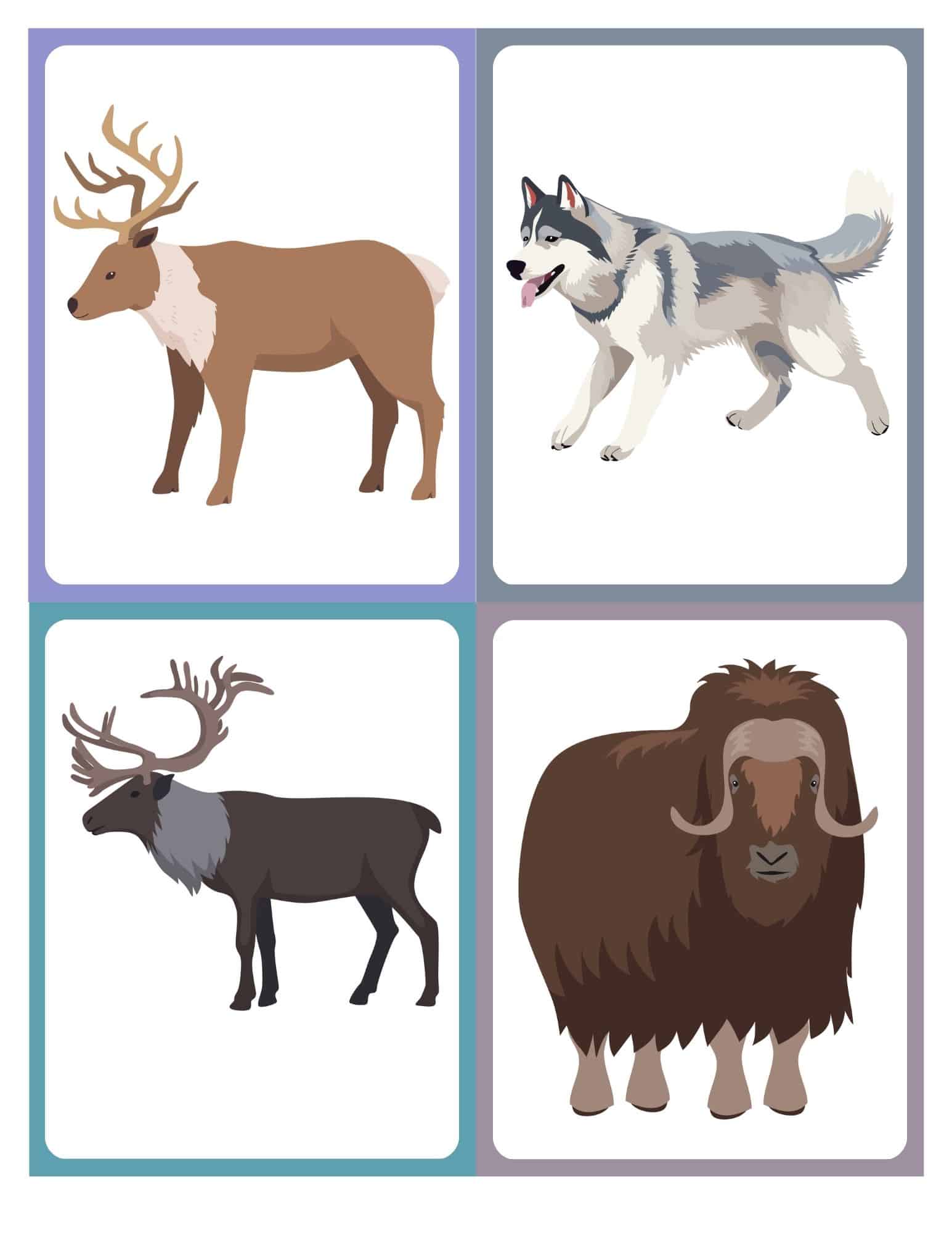 Flashcard with clip art of a reindeer or elk