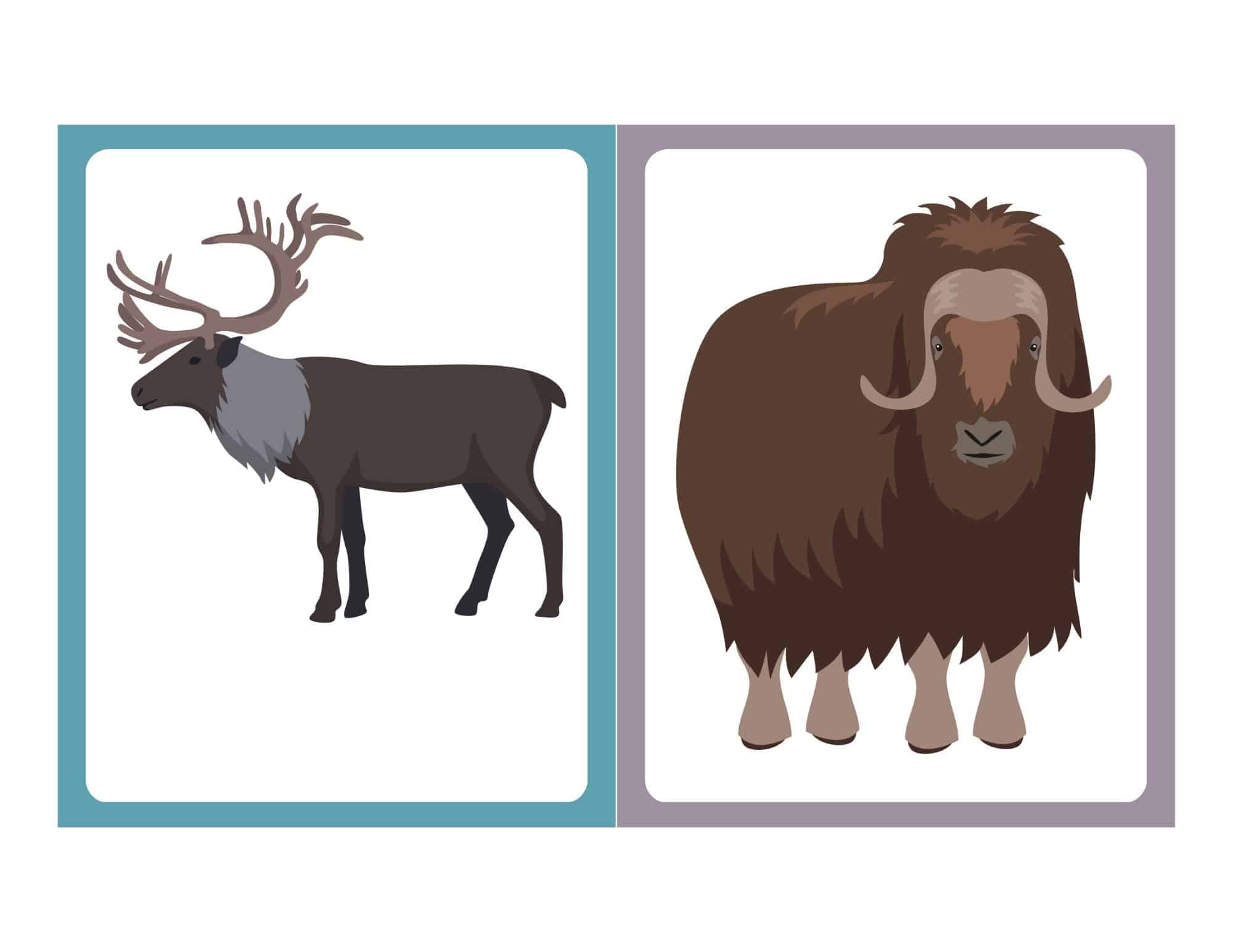 Flashcard with clip art of a reindeer or elk with antlers