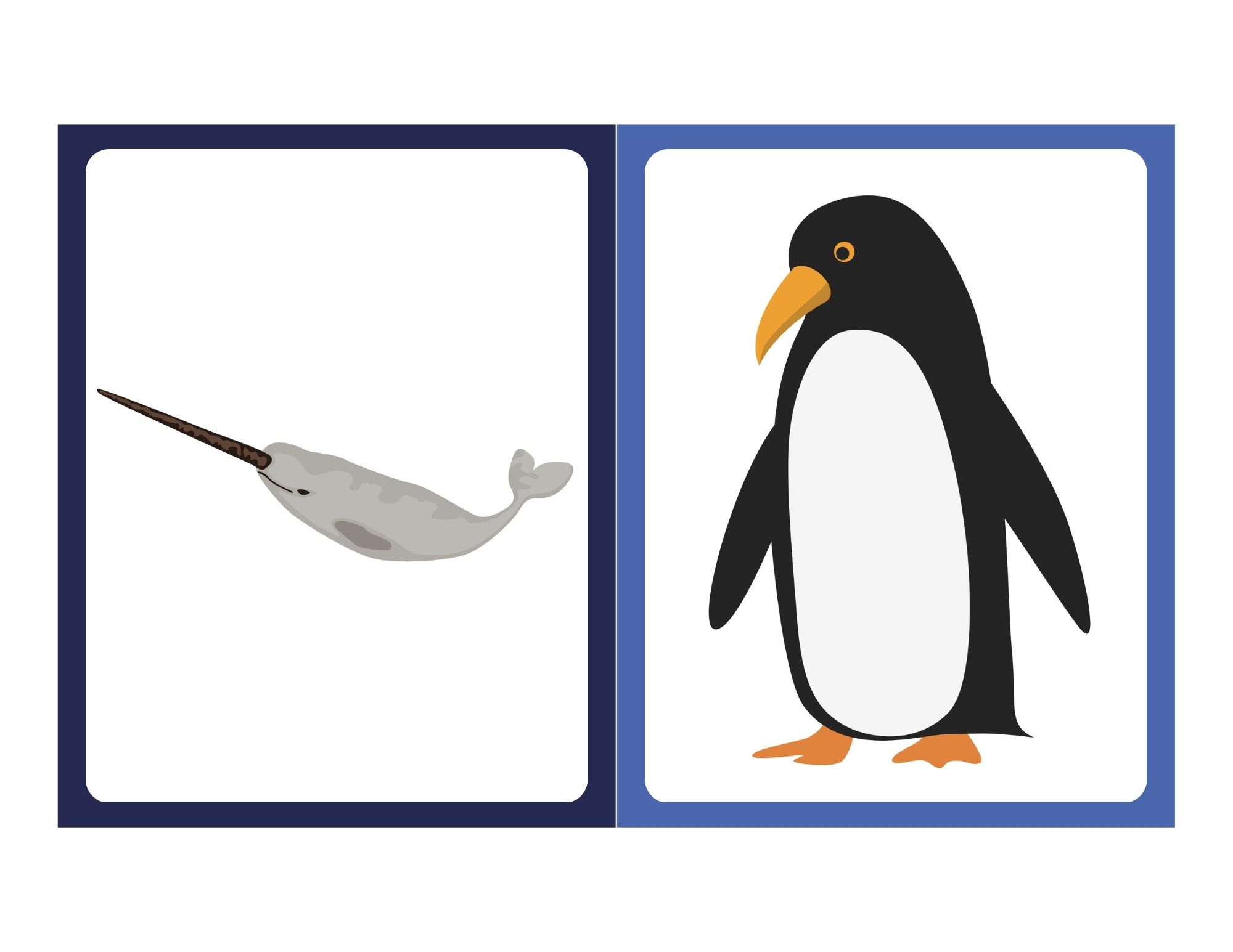 Flashcard with clip art of an Adélie penguin
