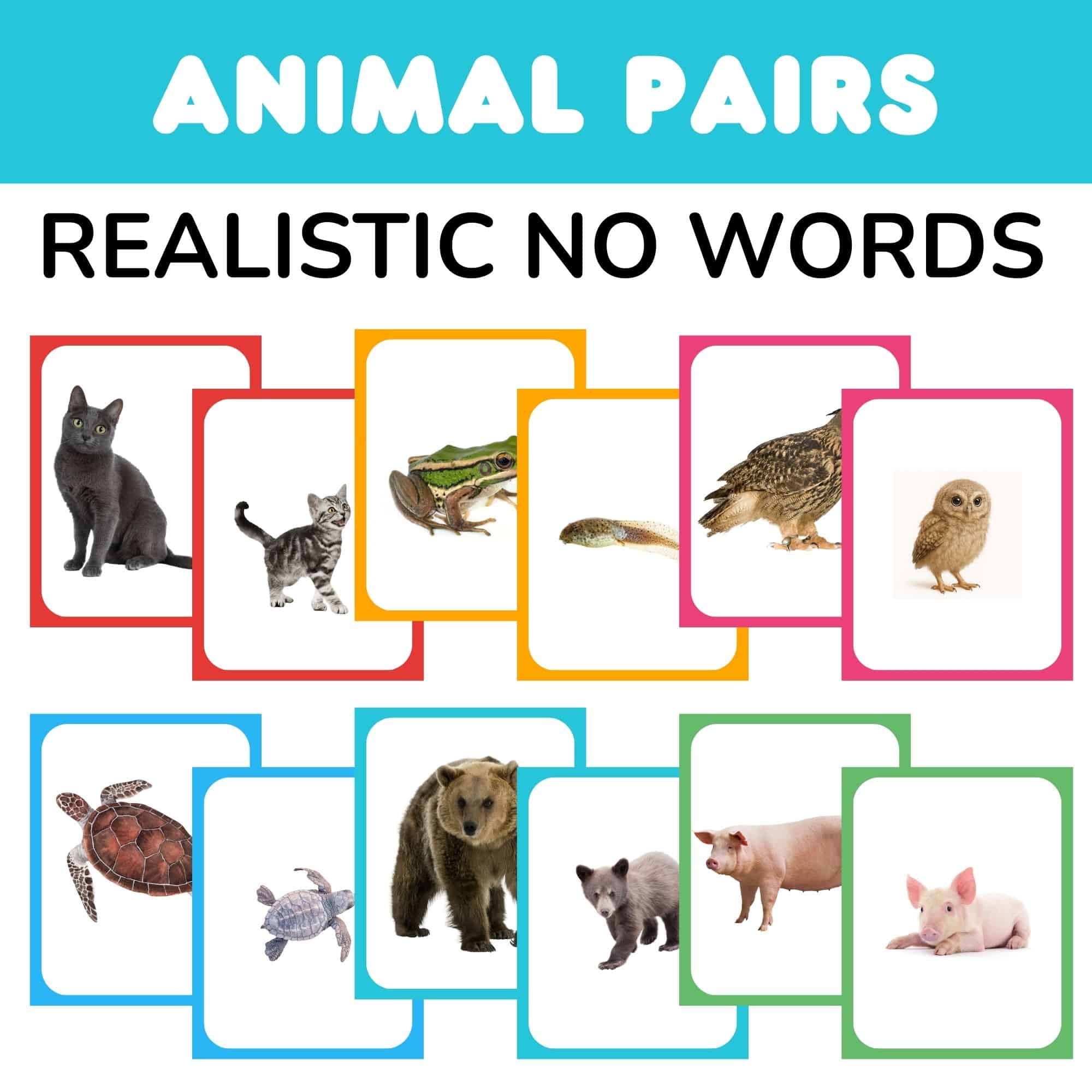 Realistic flashcards showing adult and baby wild animals with no text