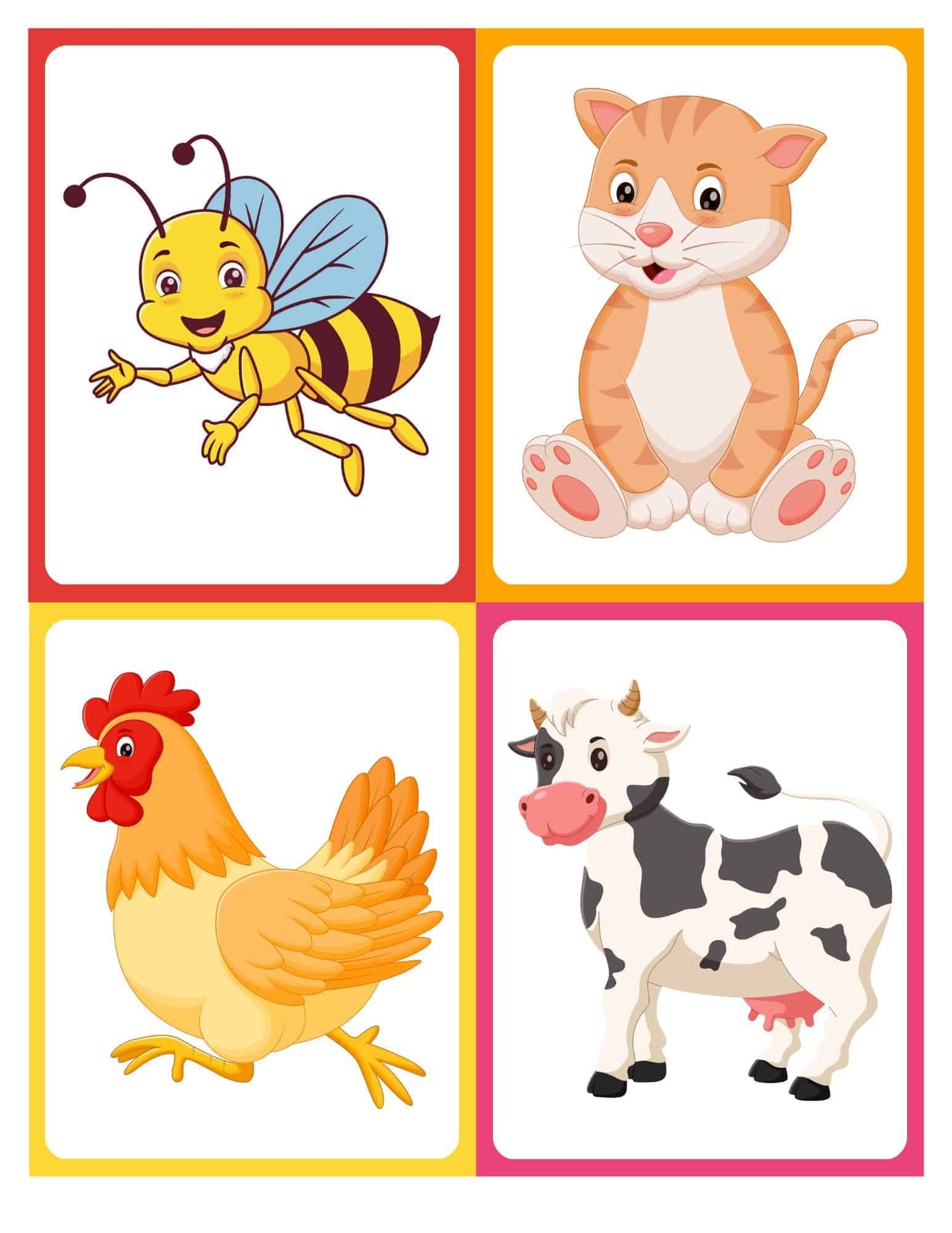 Farm animal flashcard with cartoon cat and no text