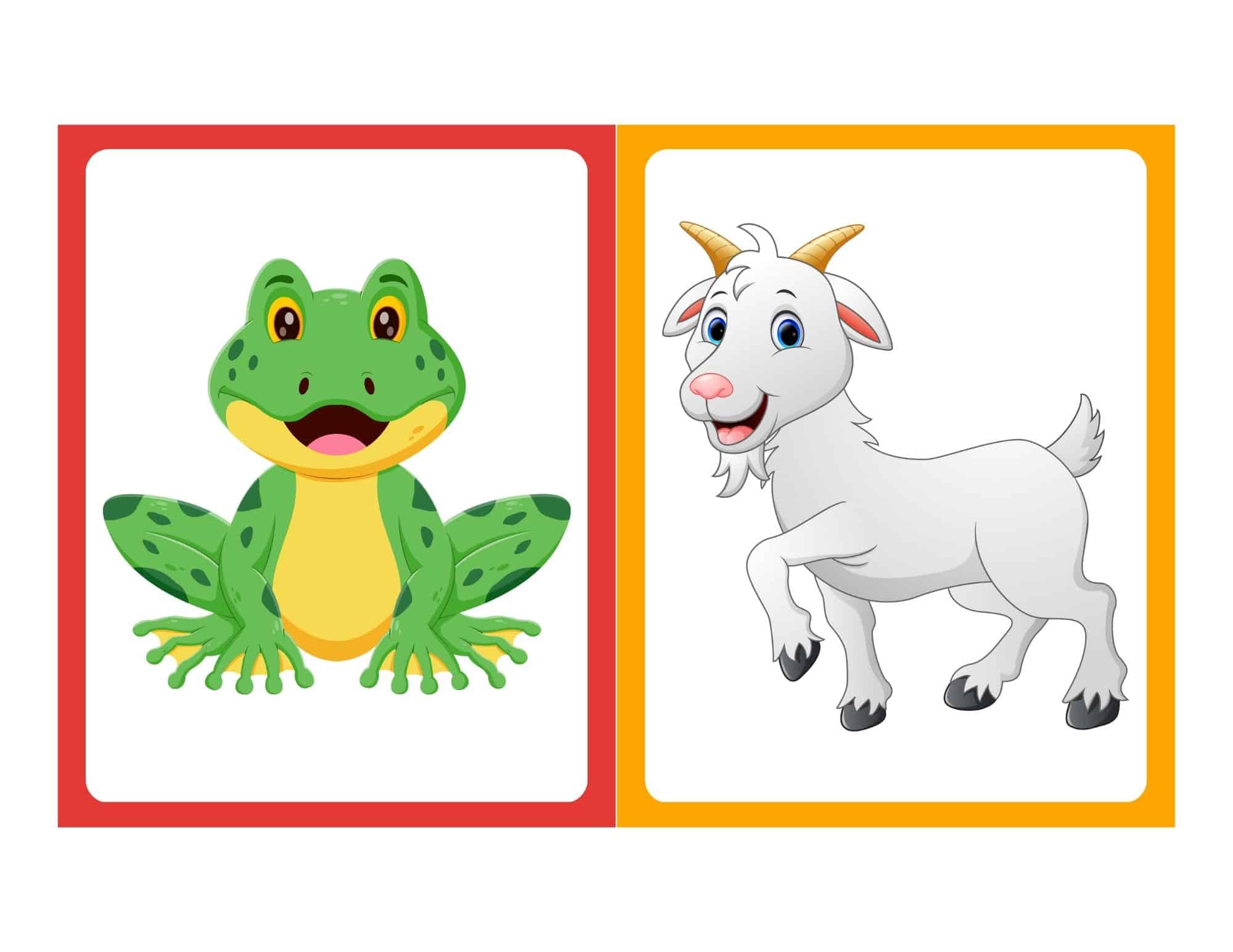 Farm animal flashcard with cartoon pig and no text