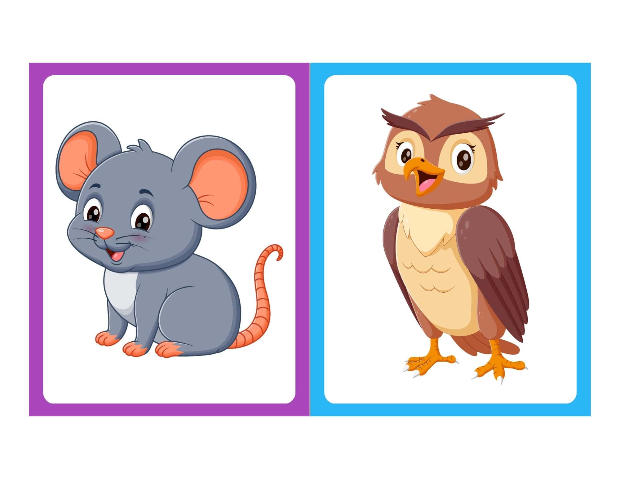 Farm animal flashcard with cartoon cat and no text