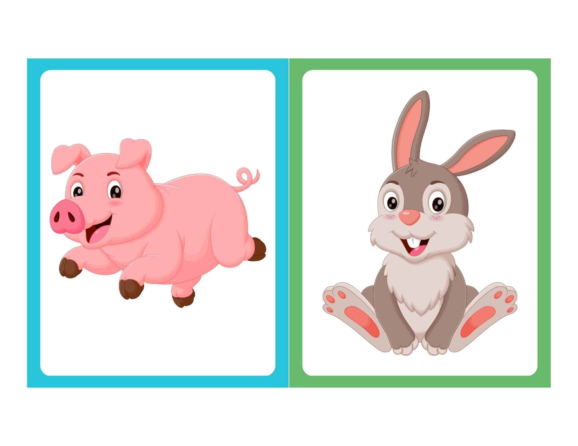 Farm animal flashcard with cartoon rabbit and no text