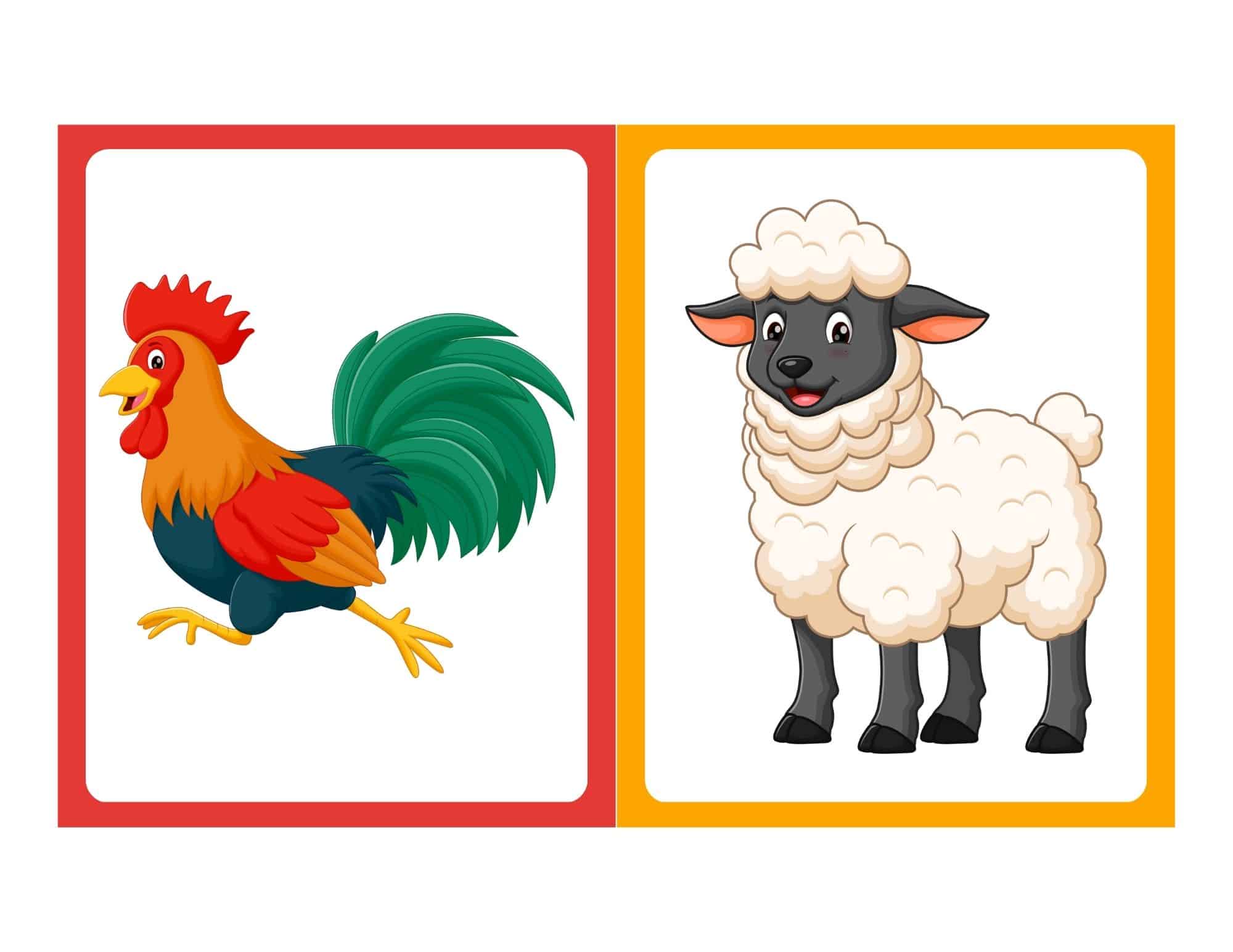 Farm animal flashcard with cartoon chicken and no text