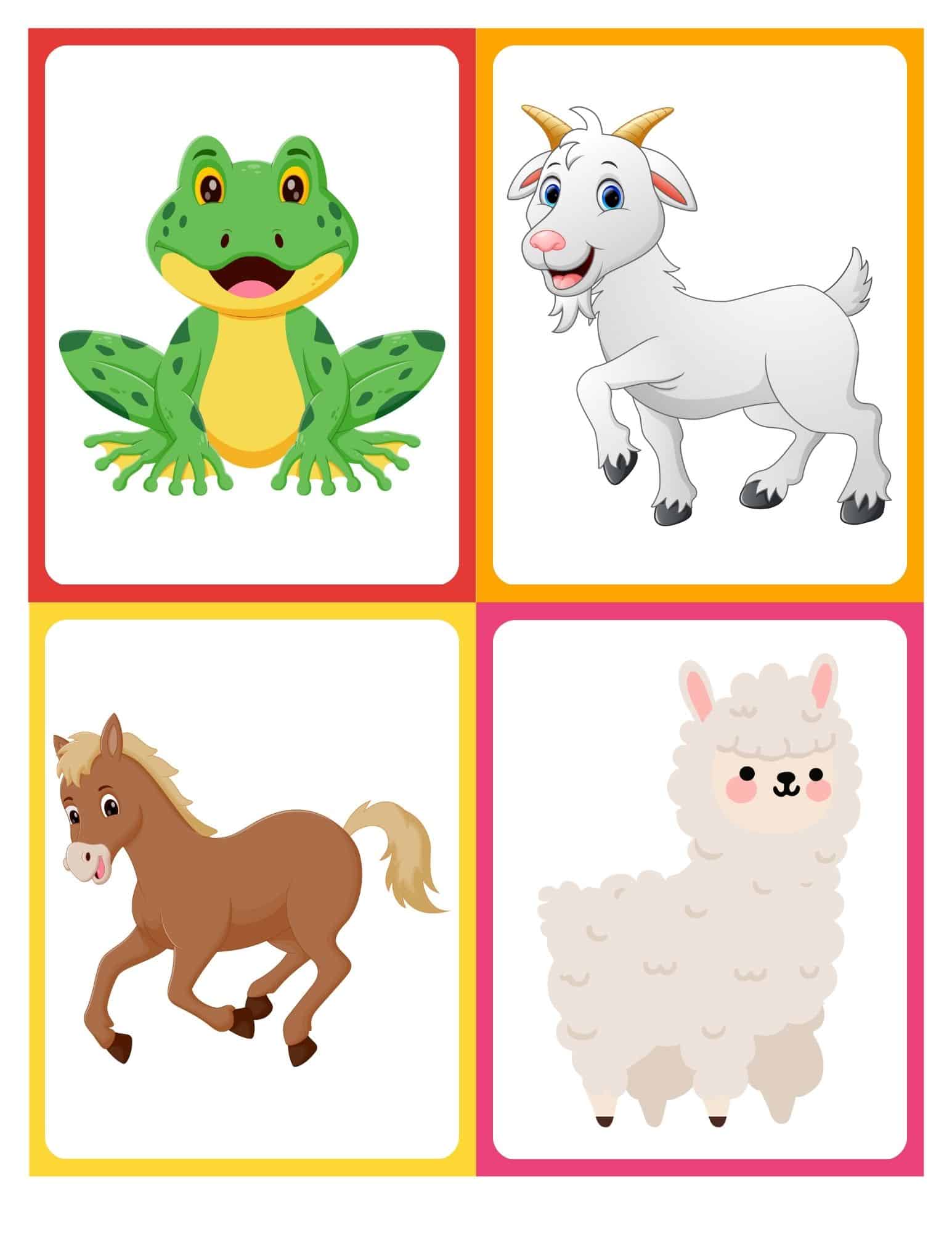 Farm animal flashcard with cartoon pig and no text