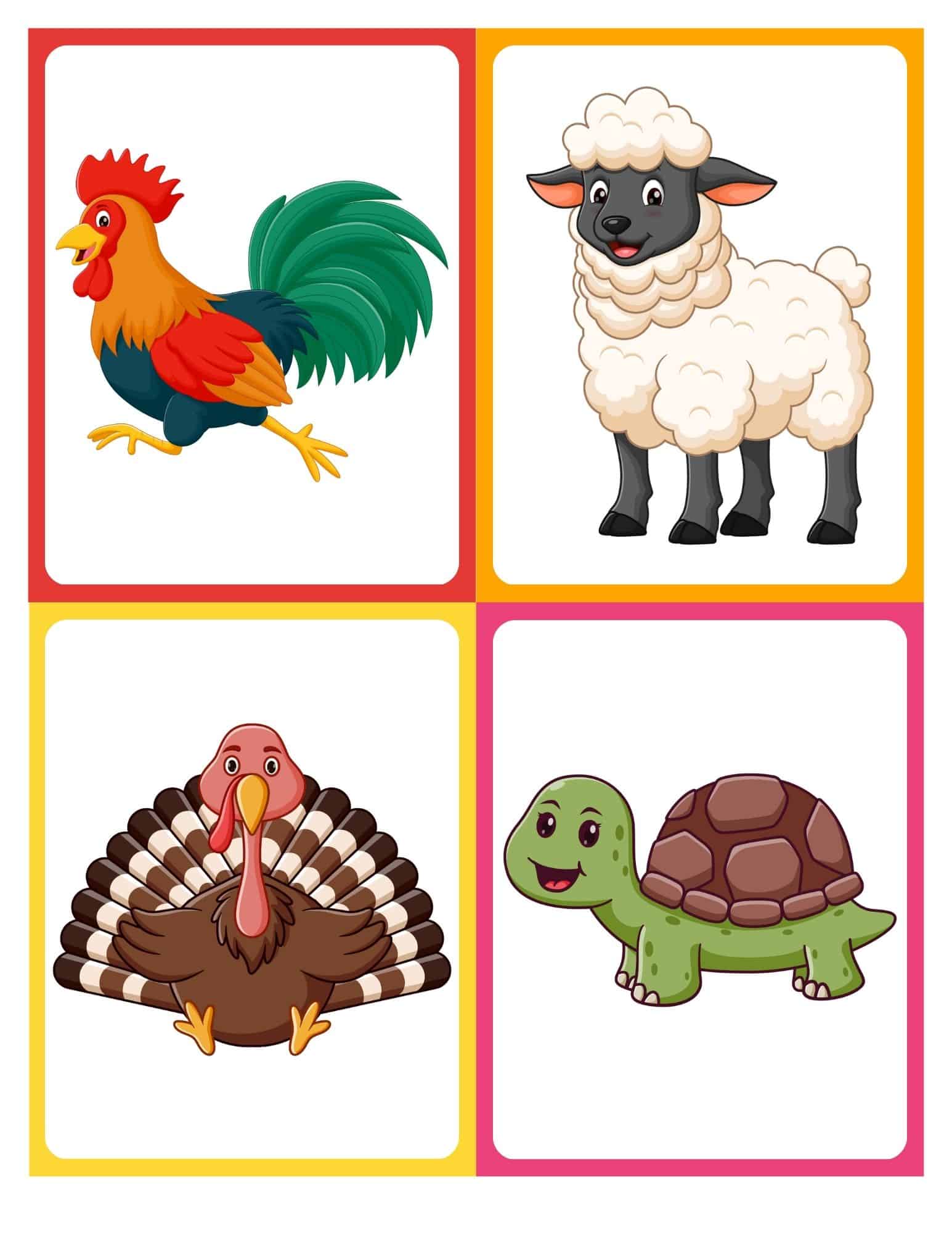 Farm animal flashcard with cartoon rooster and no text