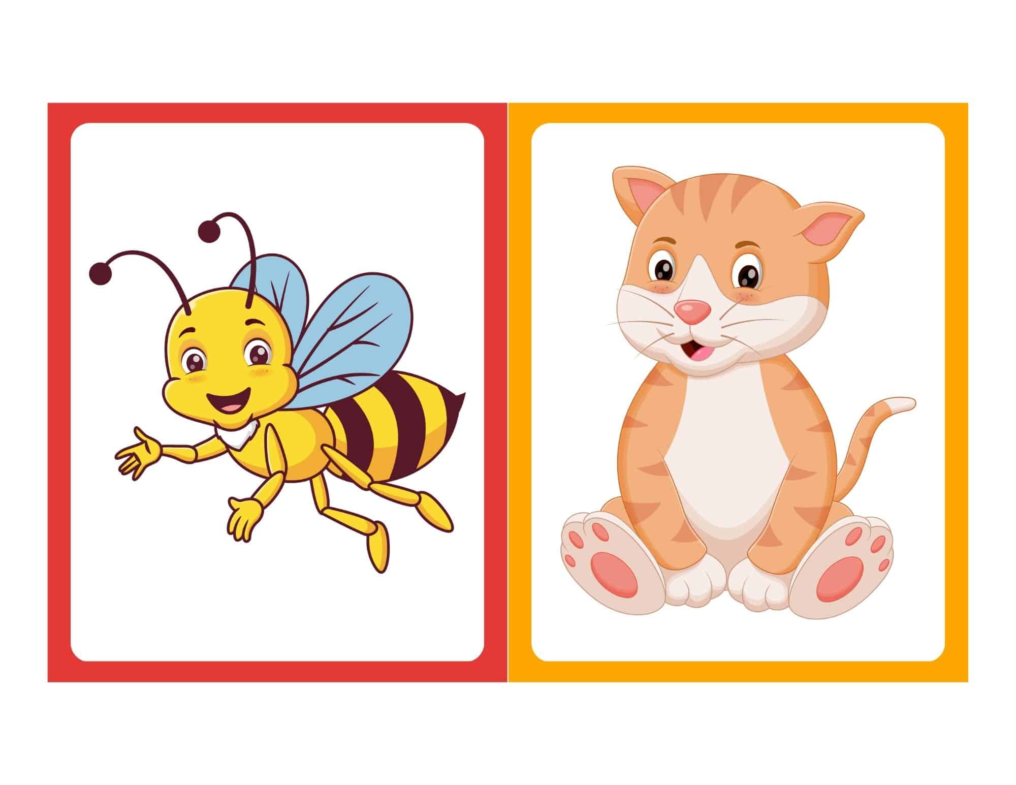 Farm animal flashcard with cartoon cat and no text