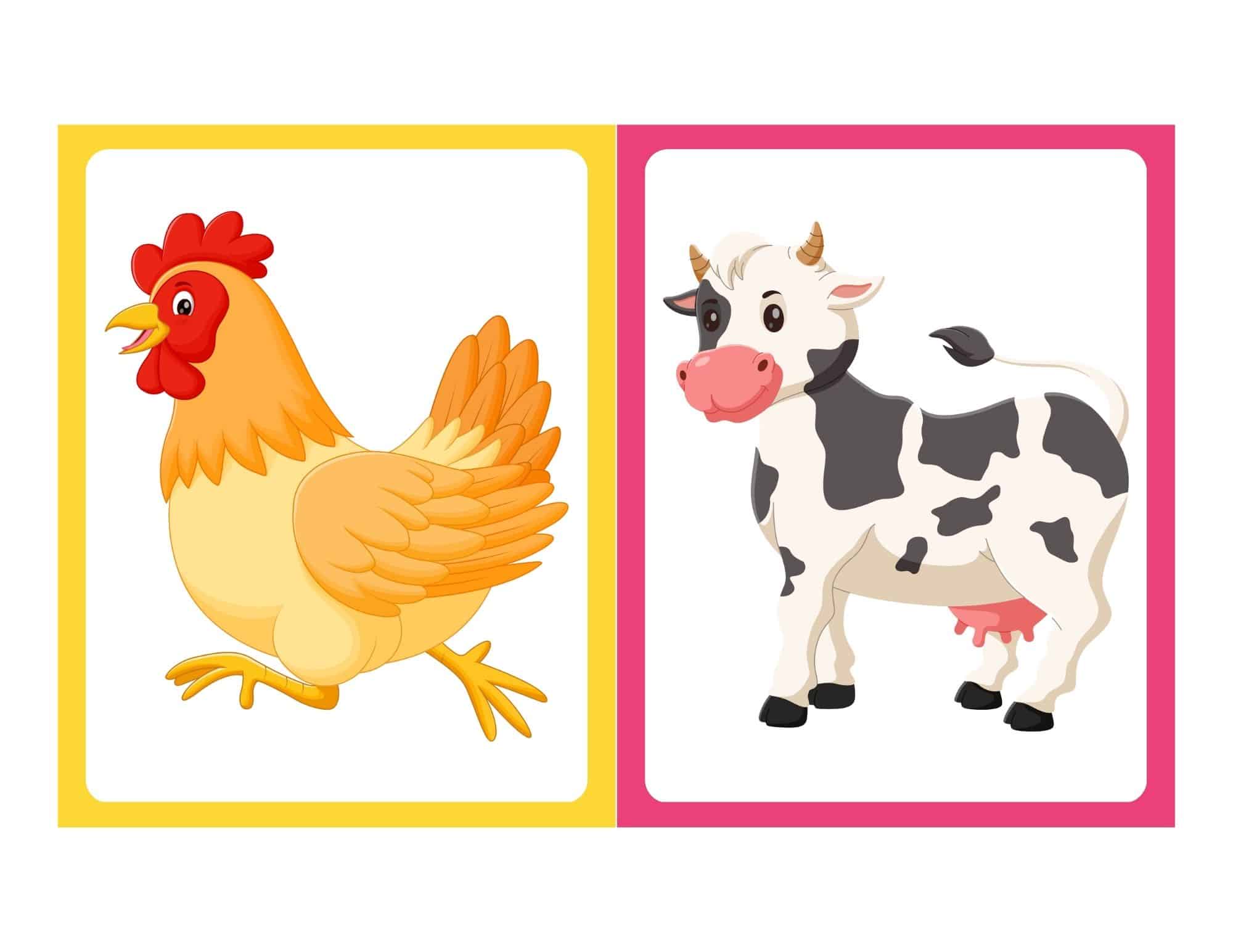 Farm animal flashcard with cartoon chicken and no text
