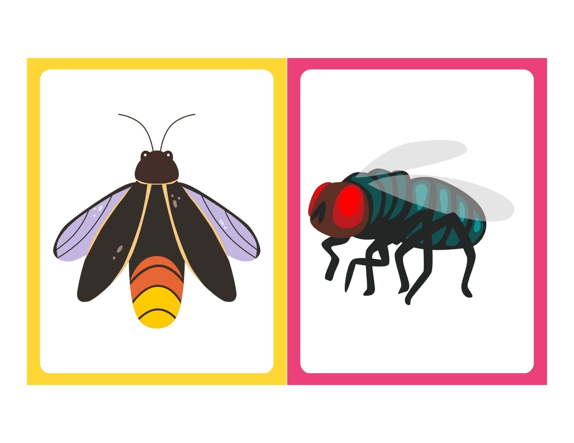 Bug flashcard with TRY text and insect image for kids