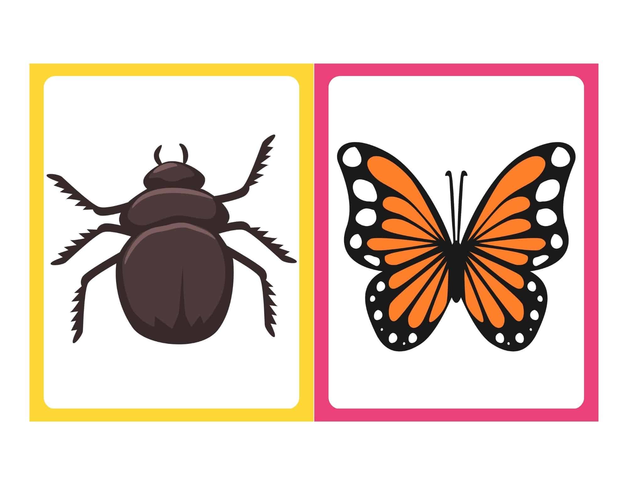 Butterfly and bug flashcards with no words for preschoolers