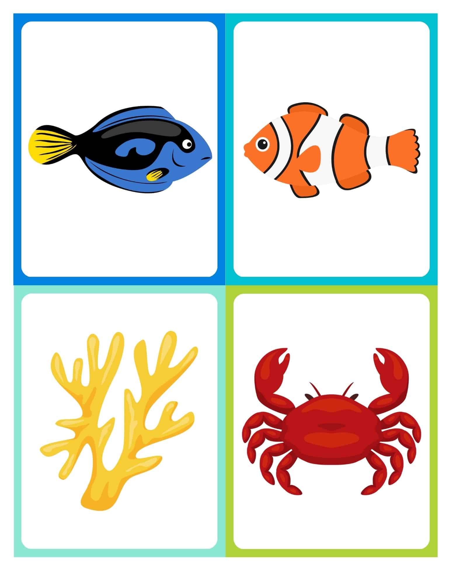 Flashcard with cartoon ocean fish and no text
