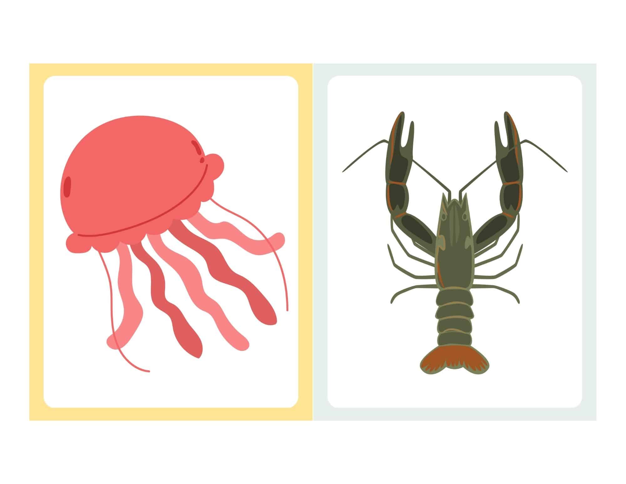Flashcard with cartoon lobster and no text