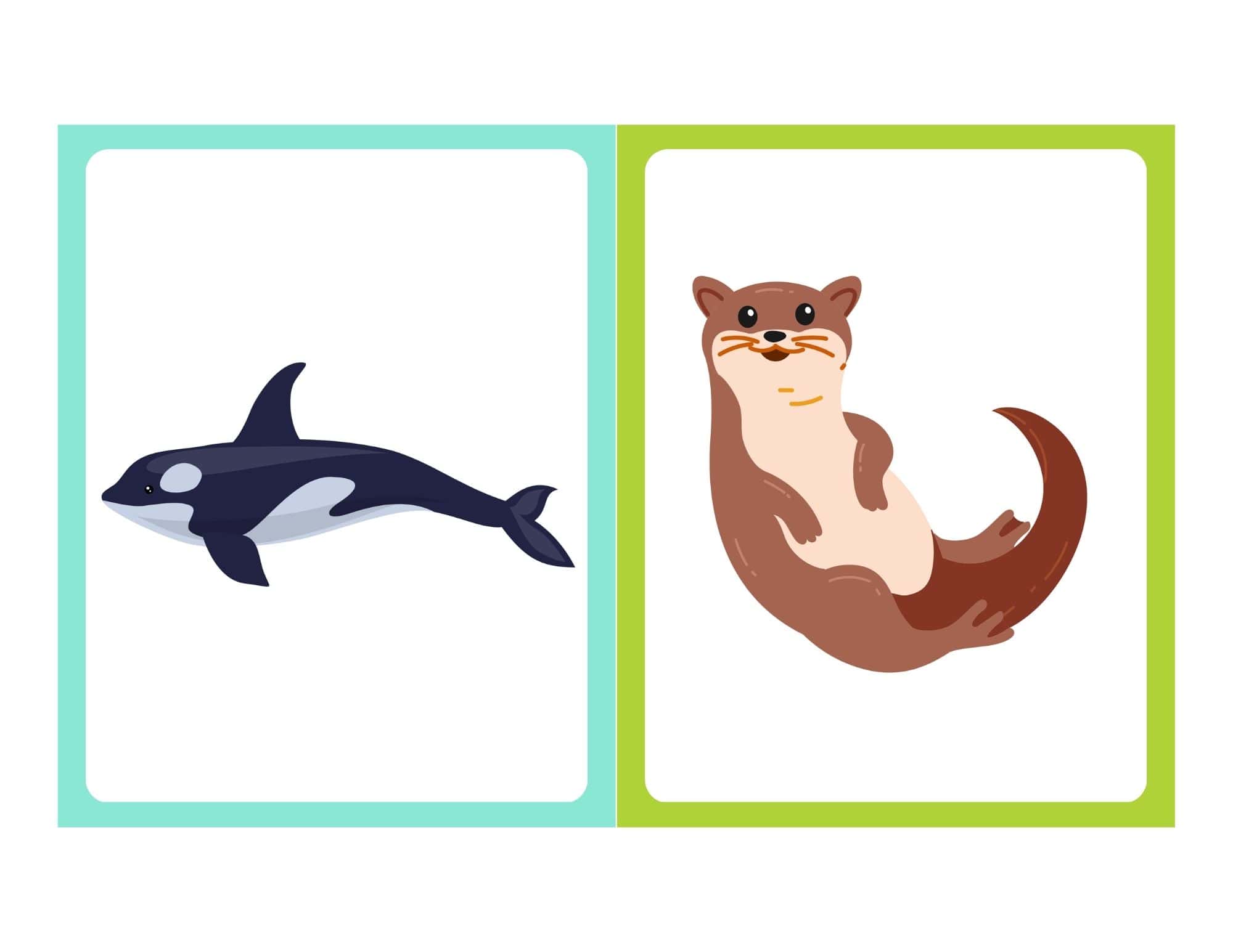 Flashcard with cartoon sea animal and no text