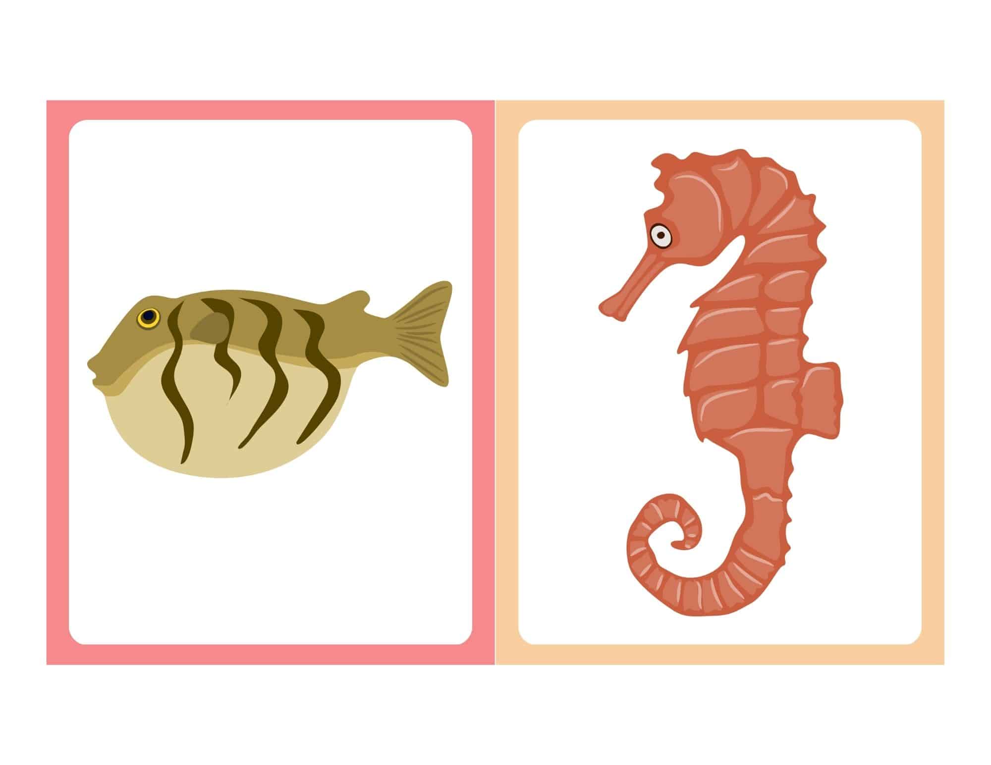 Flashcard with cartoon seahorse and no text