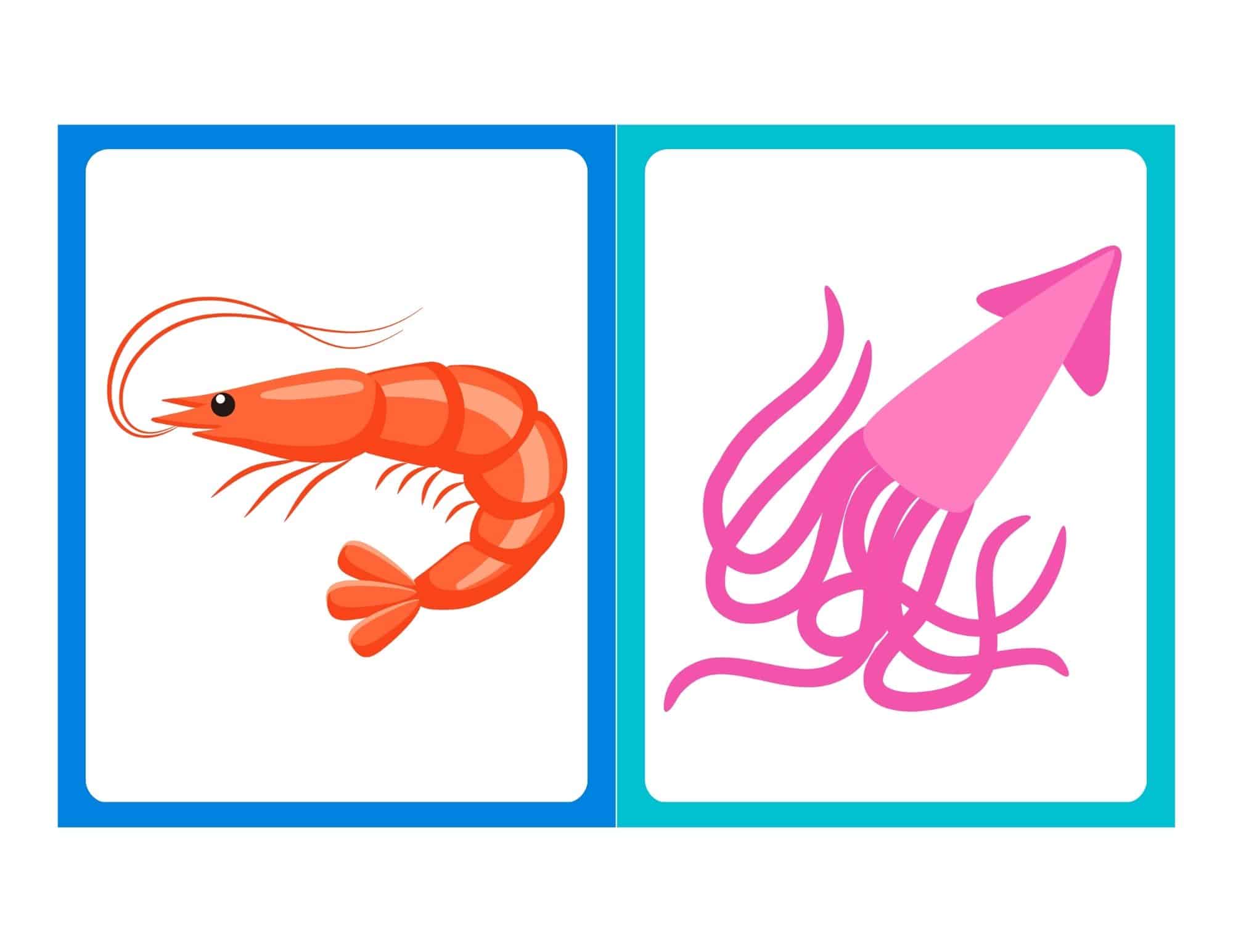 Flashcard with cartoon sea creature and no text