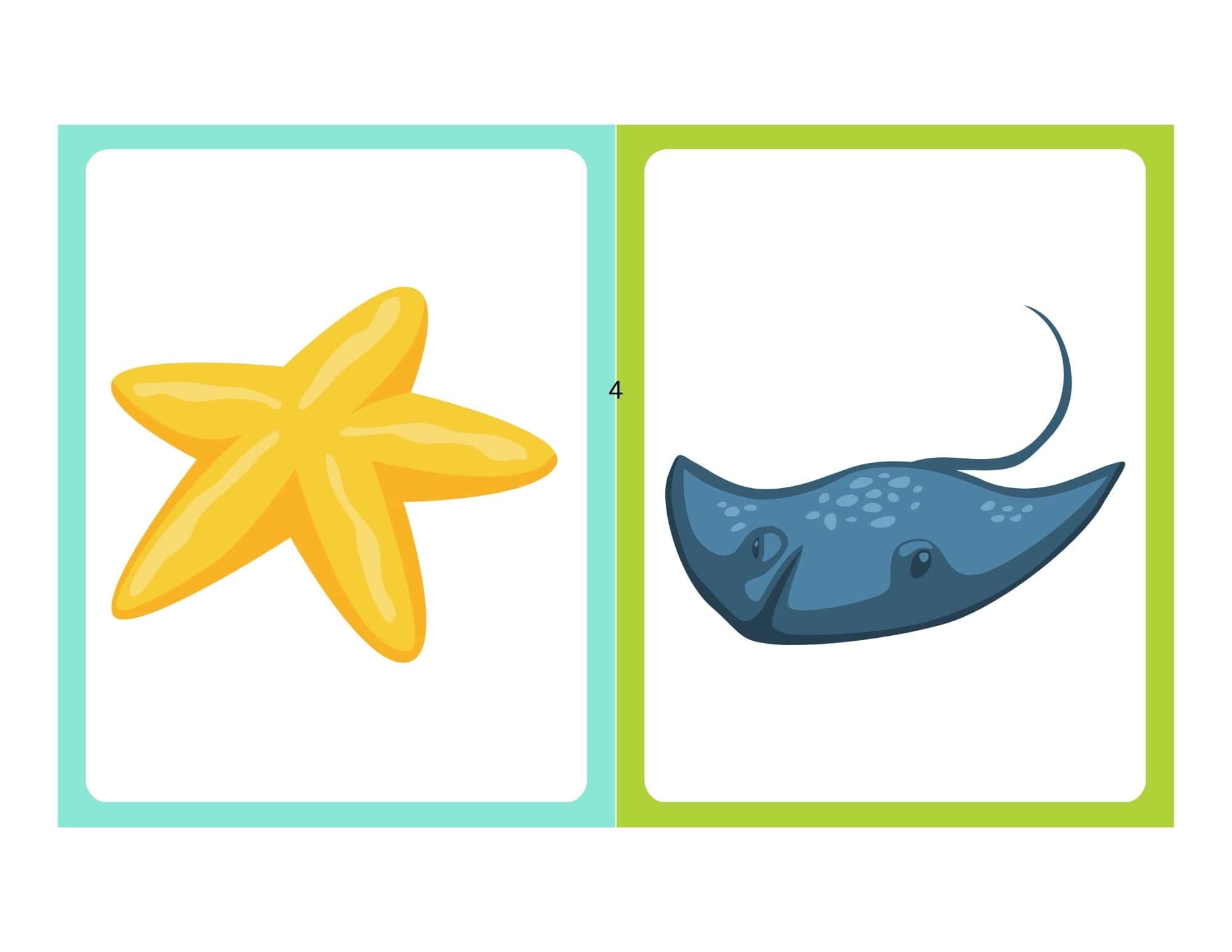 Flashcard with cartoon starfish and no text