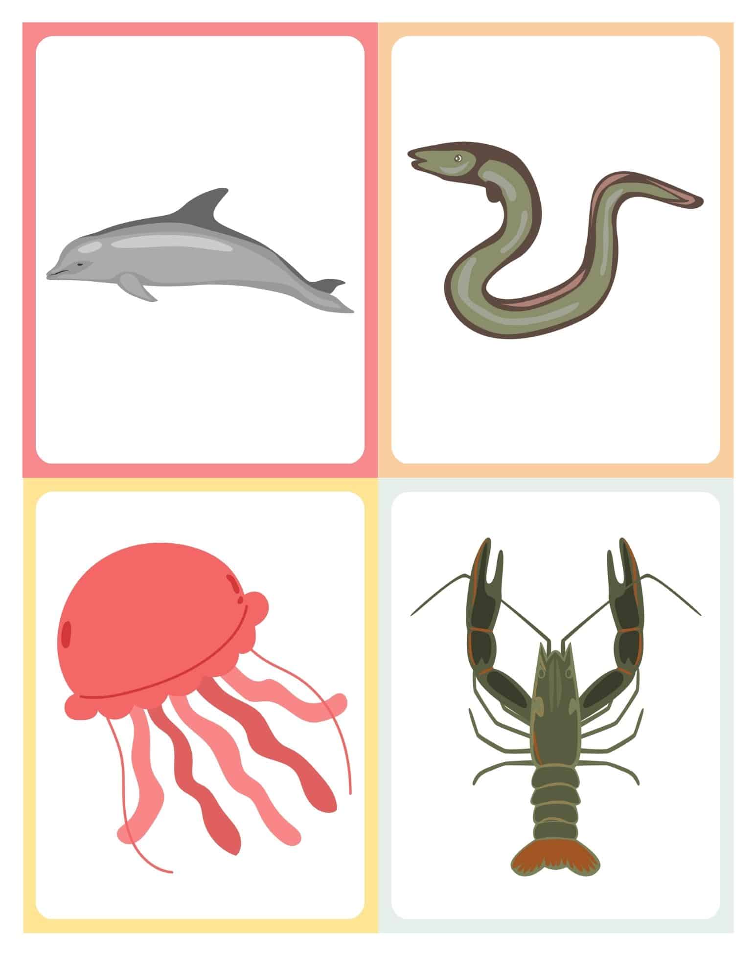 Flashcard with cartoon sea animal and no text
