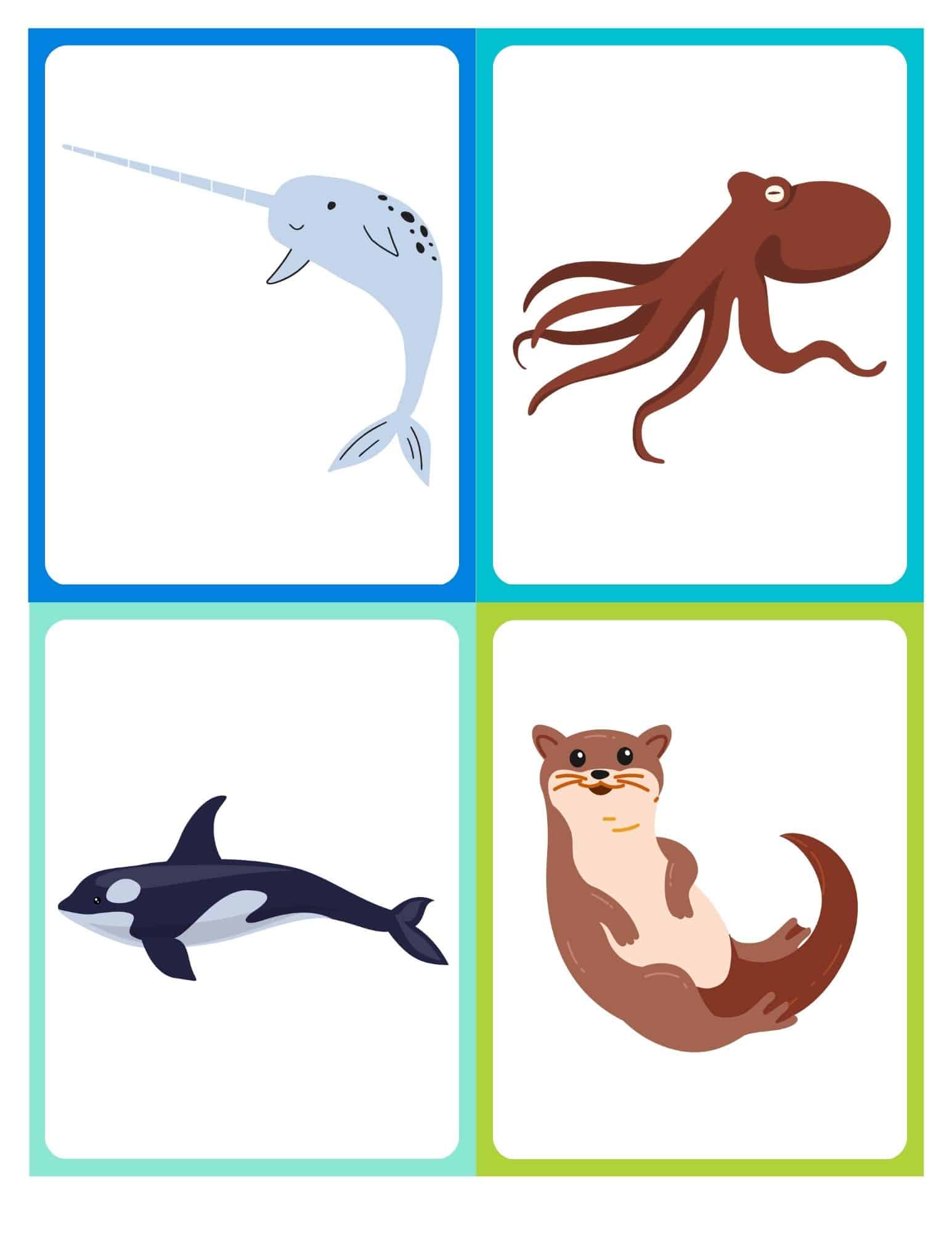 Flashcard with cartoon dolphin and no text