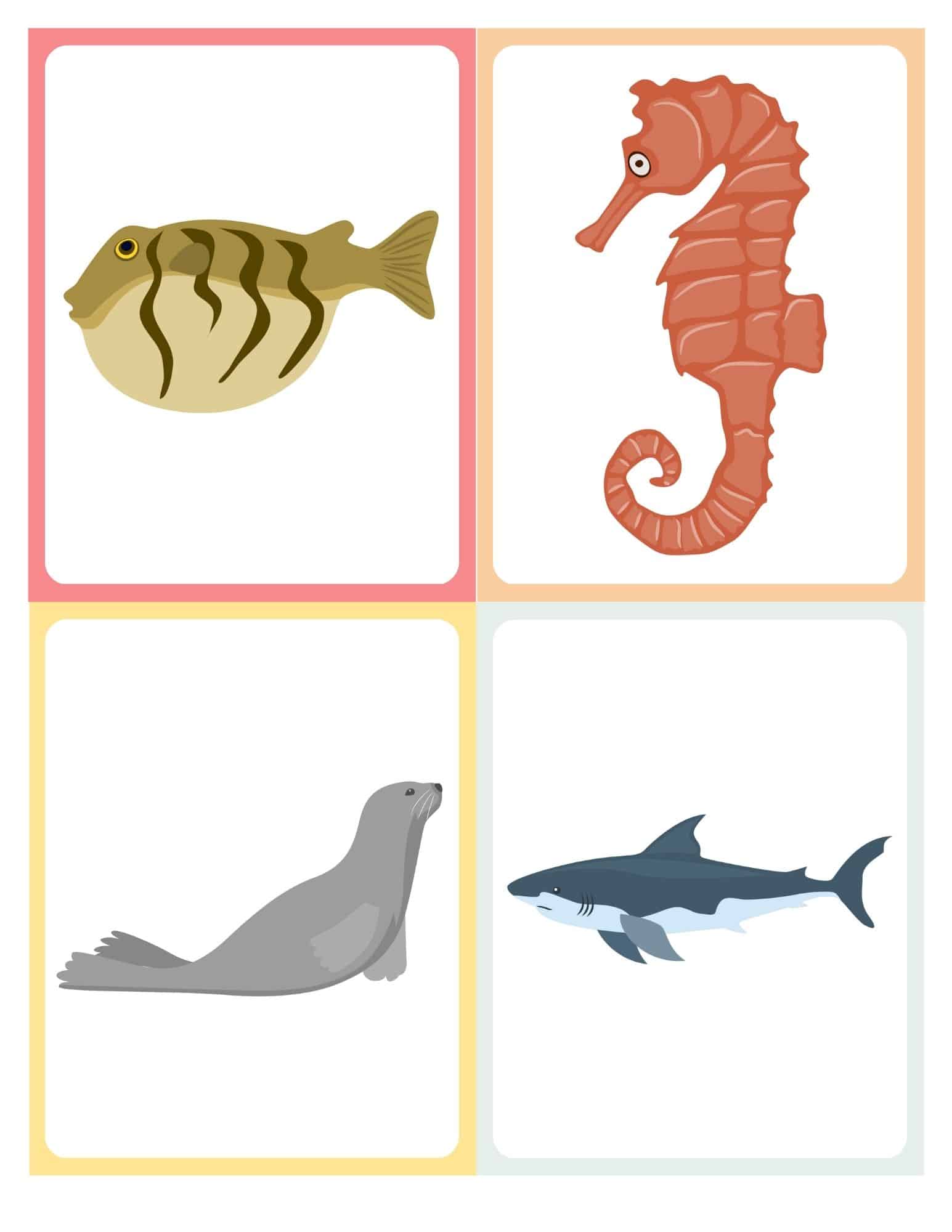 Flashcard with cartoon coral reef fish and no text