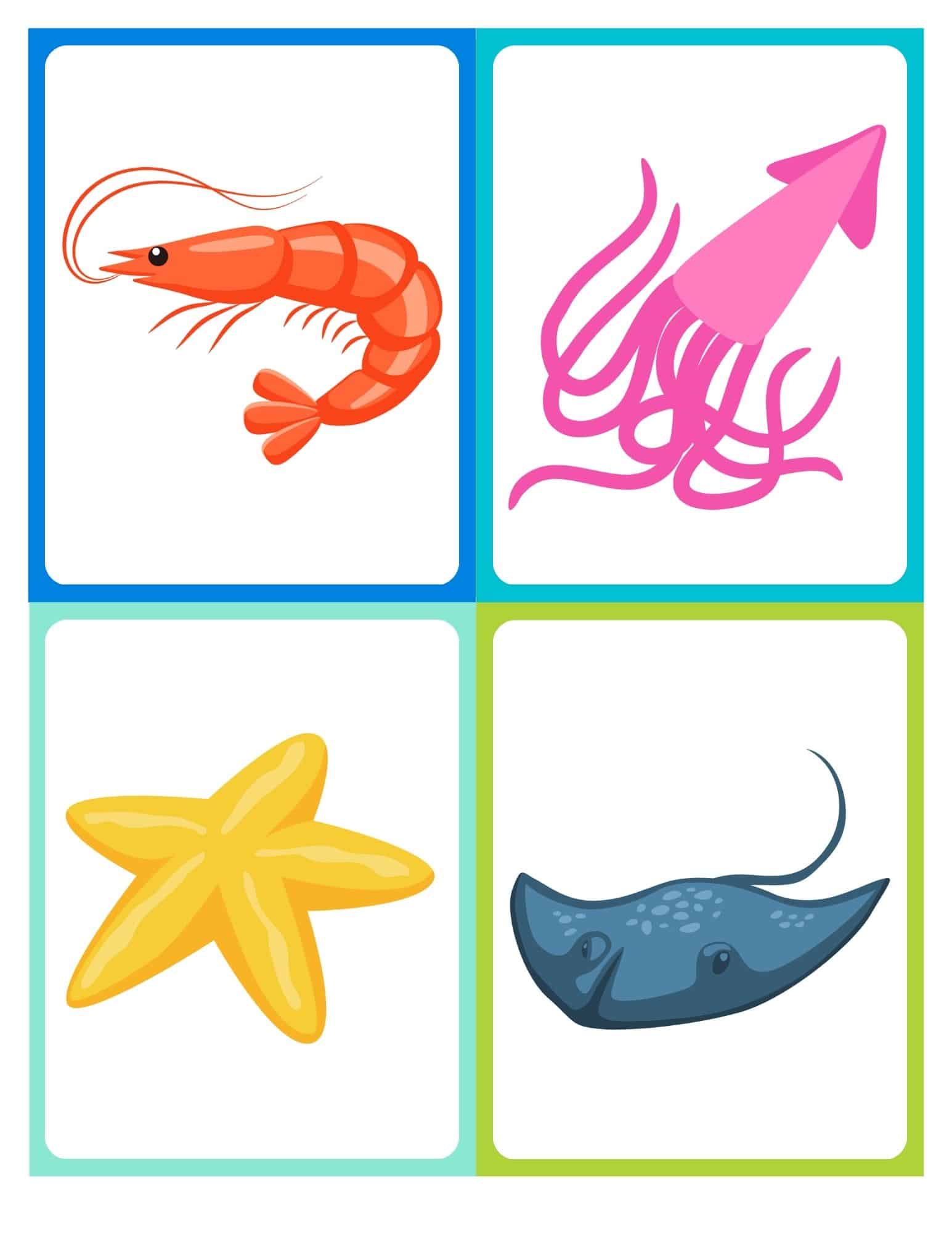 Flashcard with cartoon starfish and no text