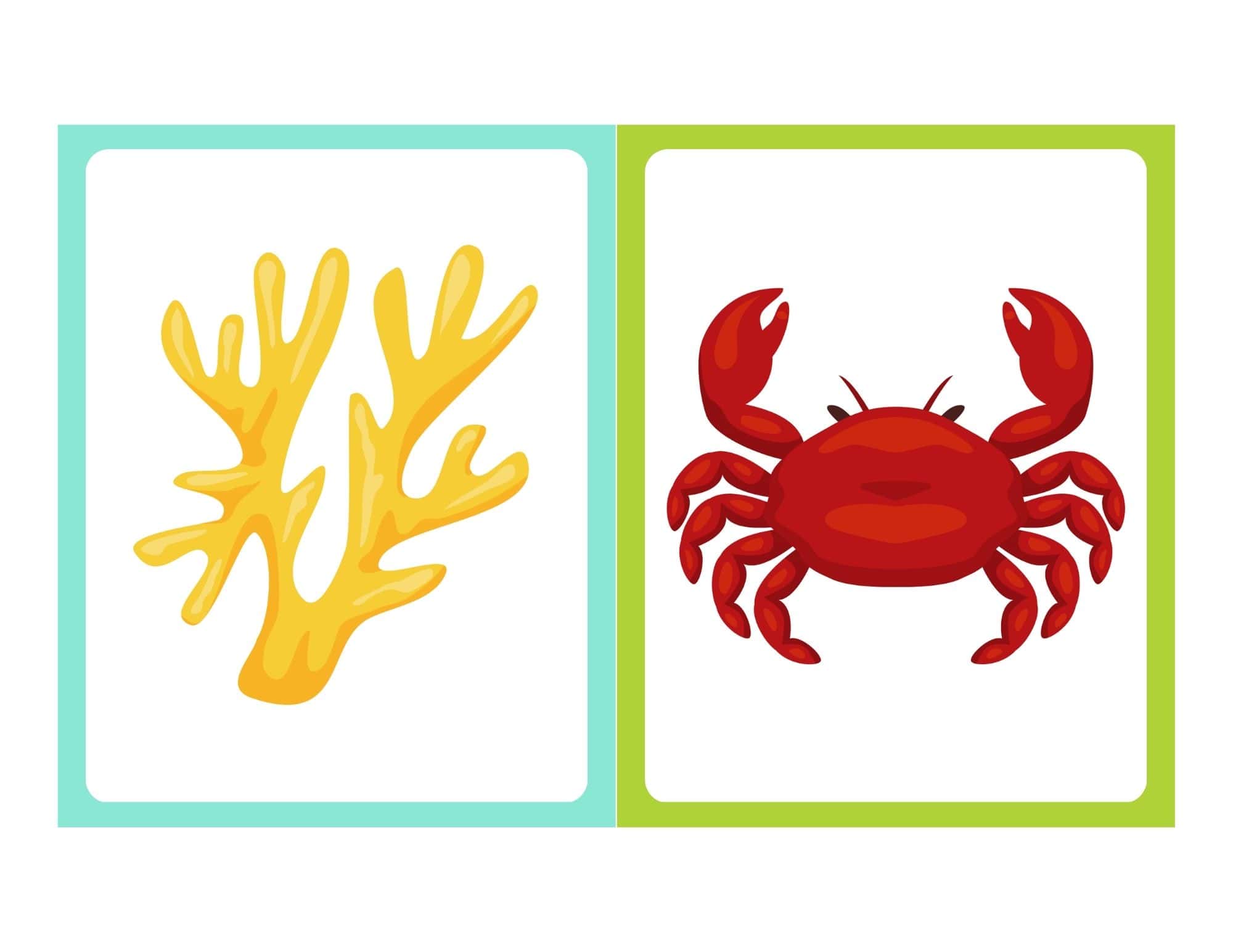Flashcard with cartoon crab and no text