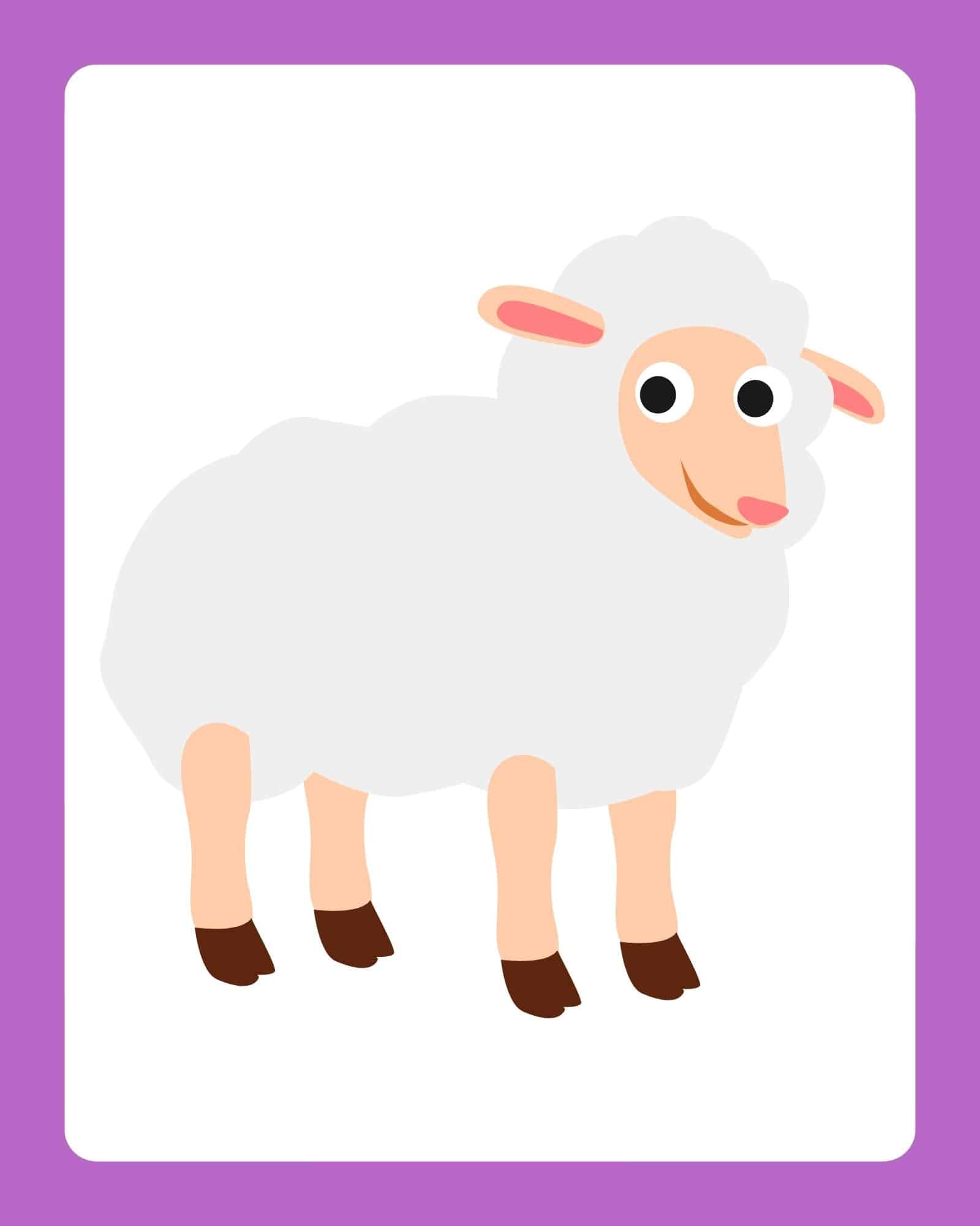 Sheep on a purple-bordered free printable Easter flashcard.