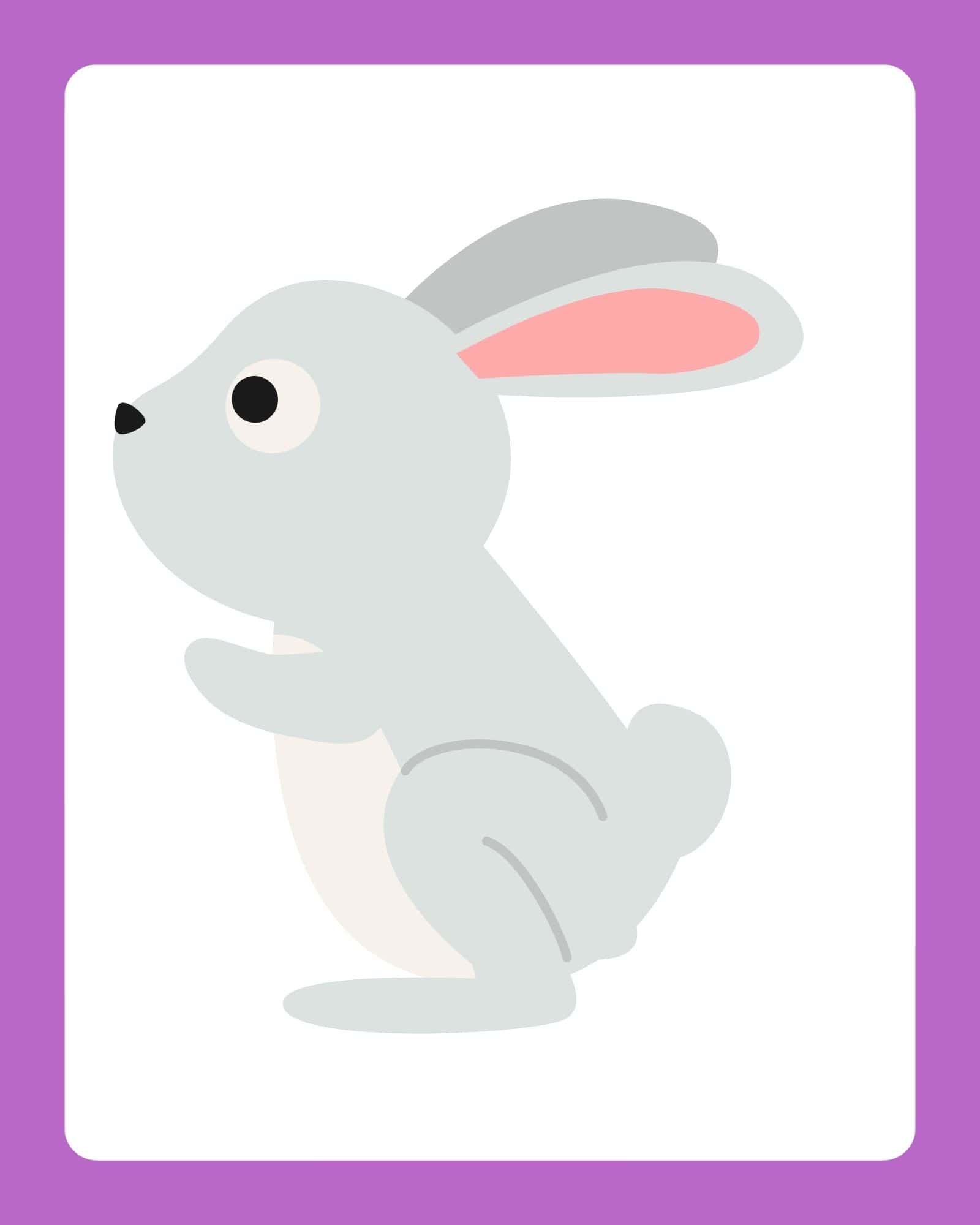 Grey bunny flashcard with pink ear and purple border.