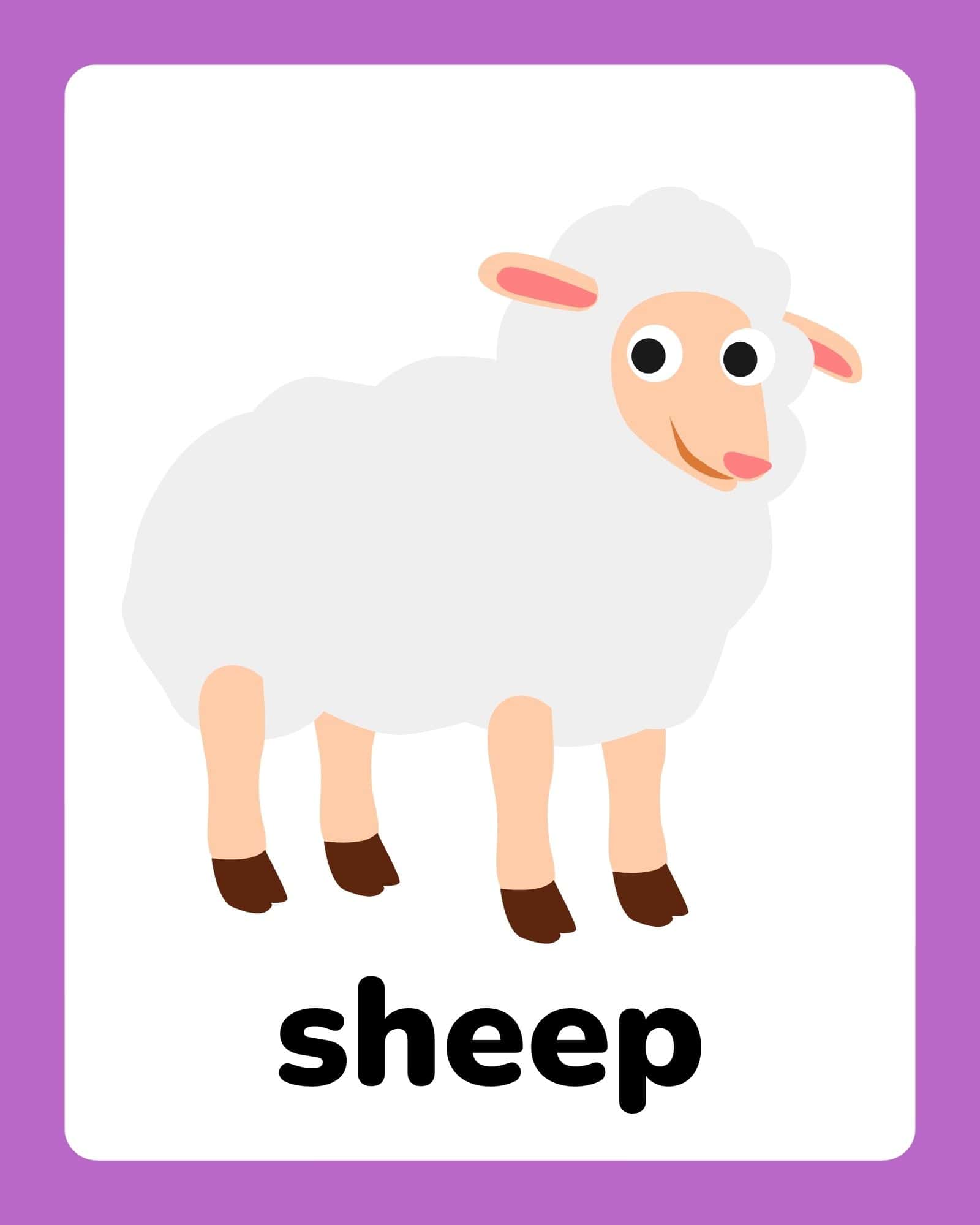 Easter printable flashcard showing a cartoon sheep with the word 'sheep' and a purple border.