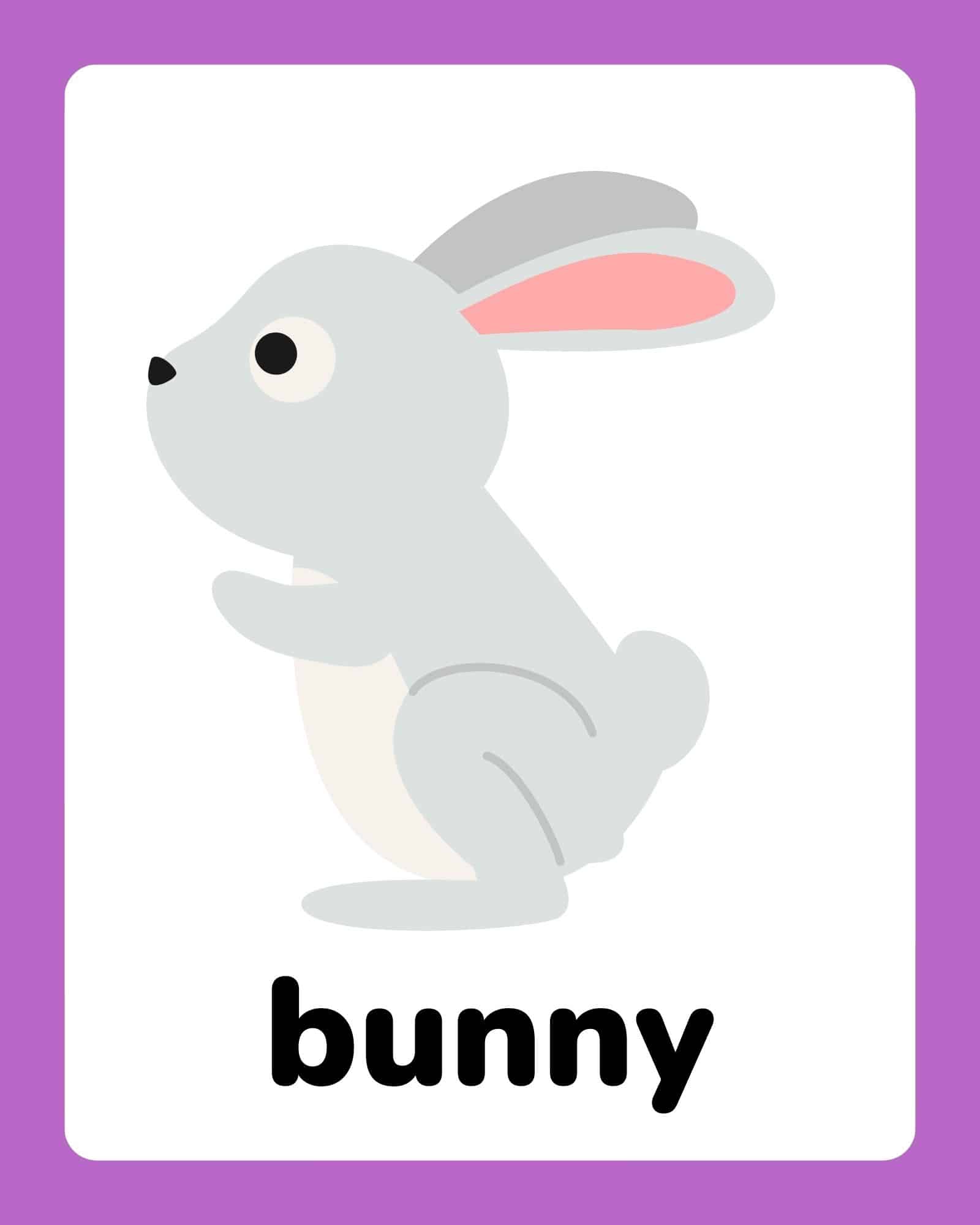 Flashcard showing a gray bunny illustration labeled 'bunny' with a purple border.