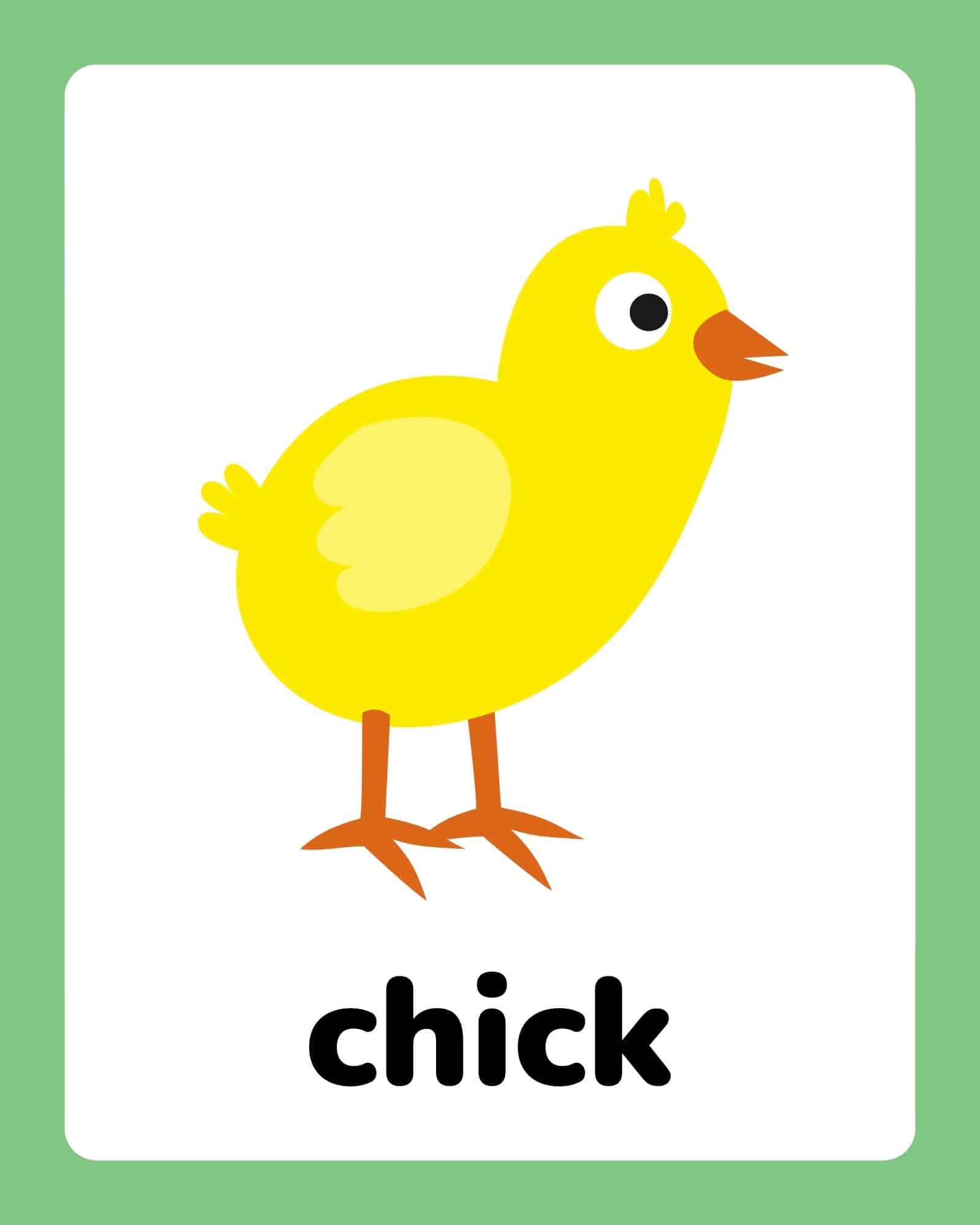 Yellow chick flashcard labeled 