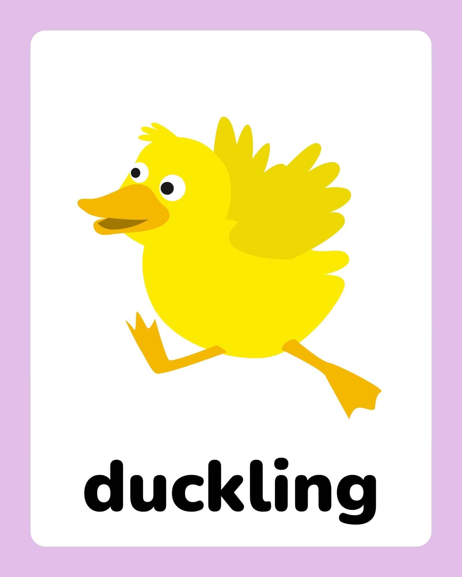 Easter printable flashcard: yellow duckling illustration with the word 'duckling'.