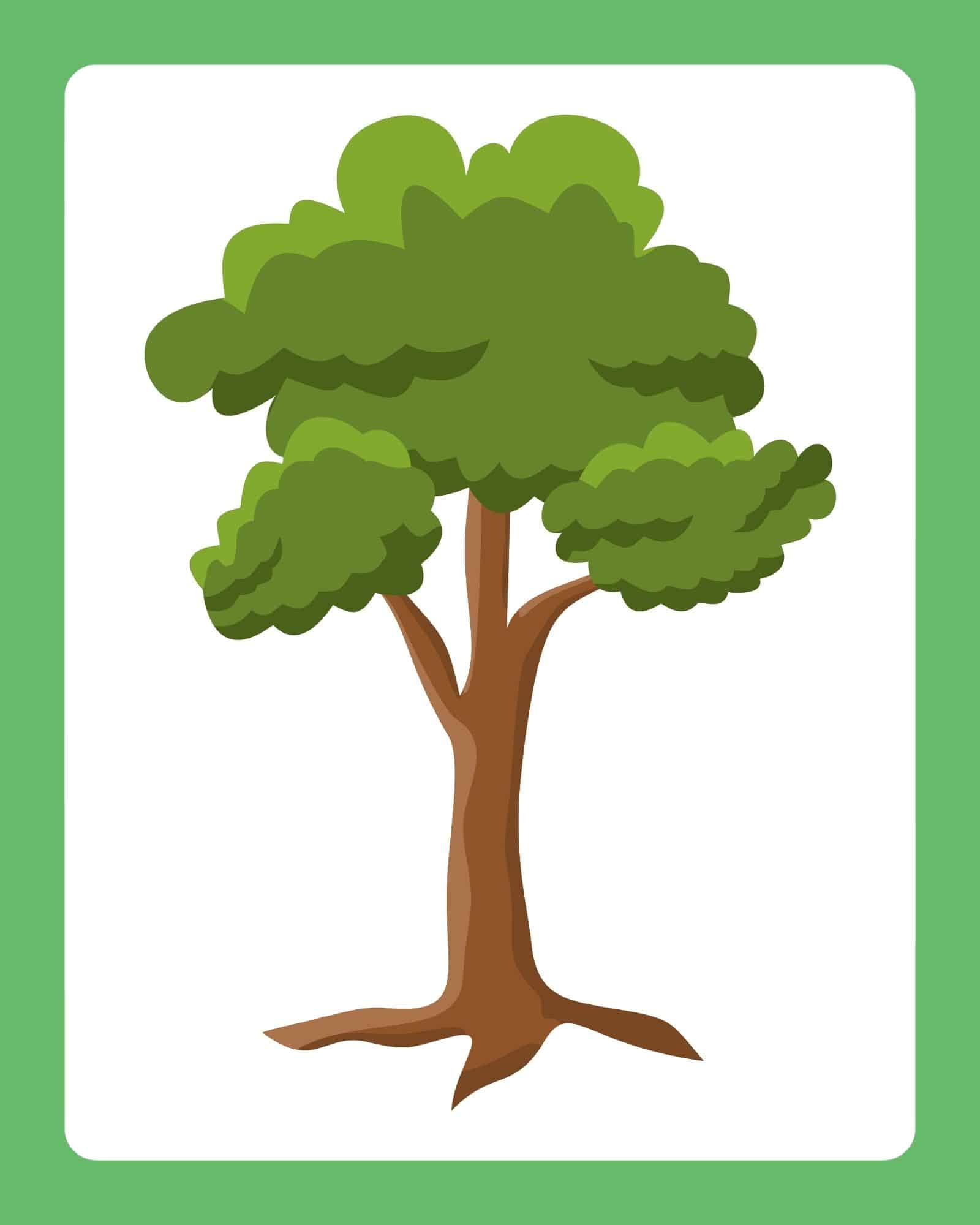 Tall brown tree trunk with green leafy canopy and visible roots centered on a white card with a thick green border.