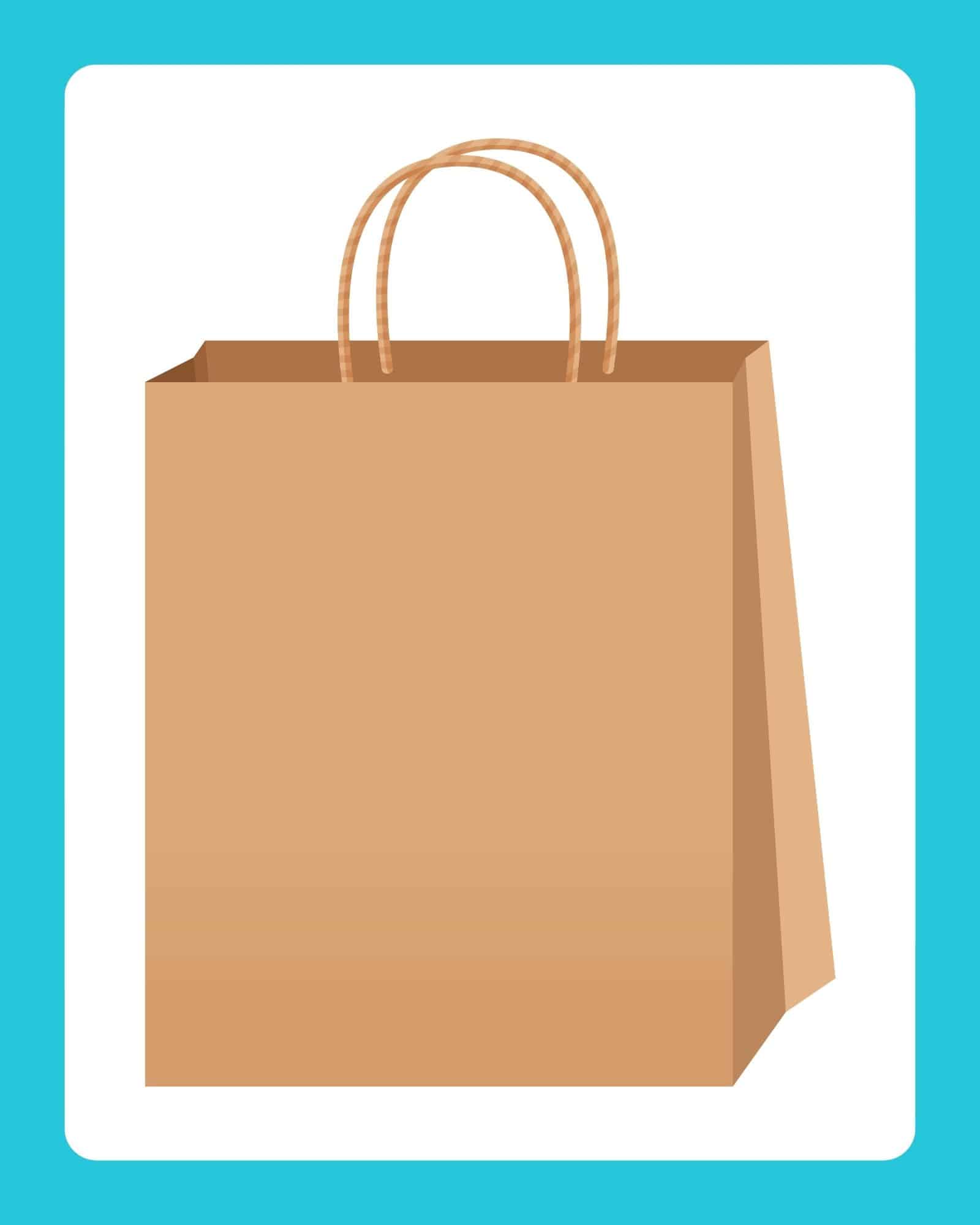 Plain brown paper shopping bag with rope handles centered on a white panel with a teal border.