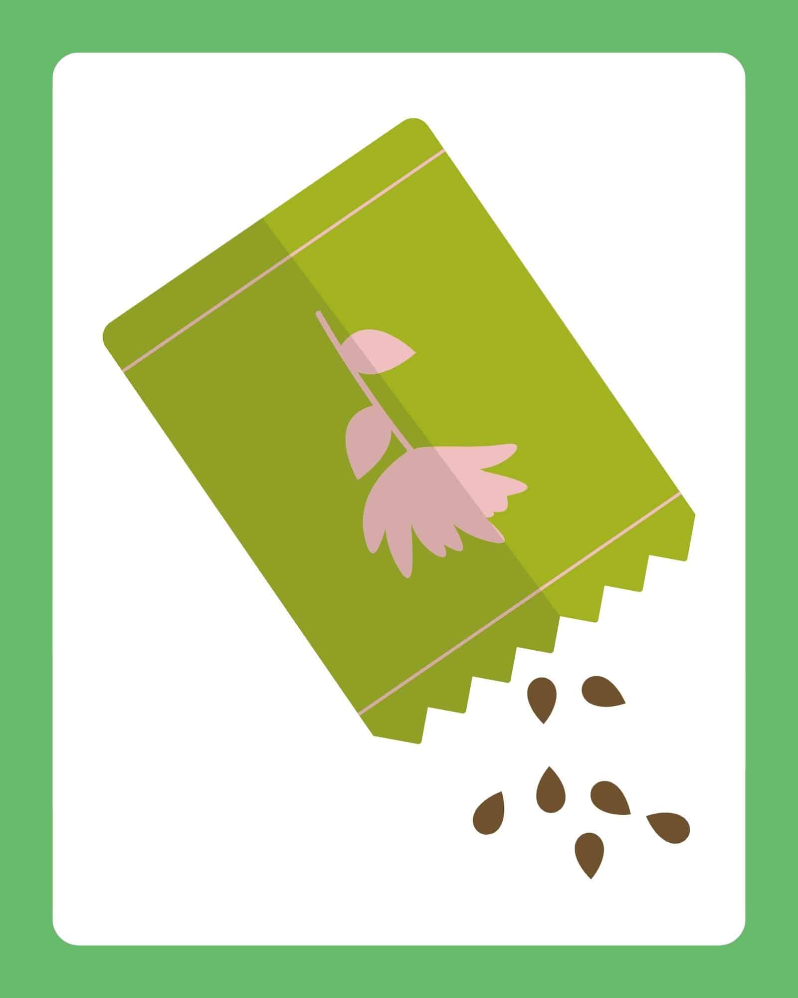 Green seed packet with a pink flower illustration tilted and spilling brown seeds onto a white background with a green border.