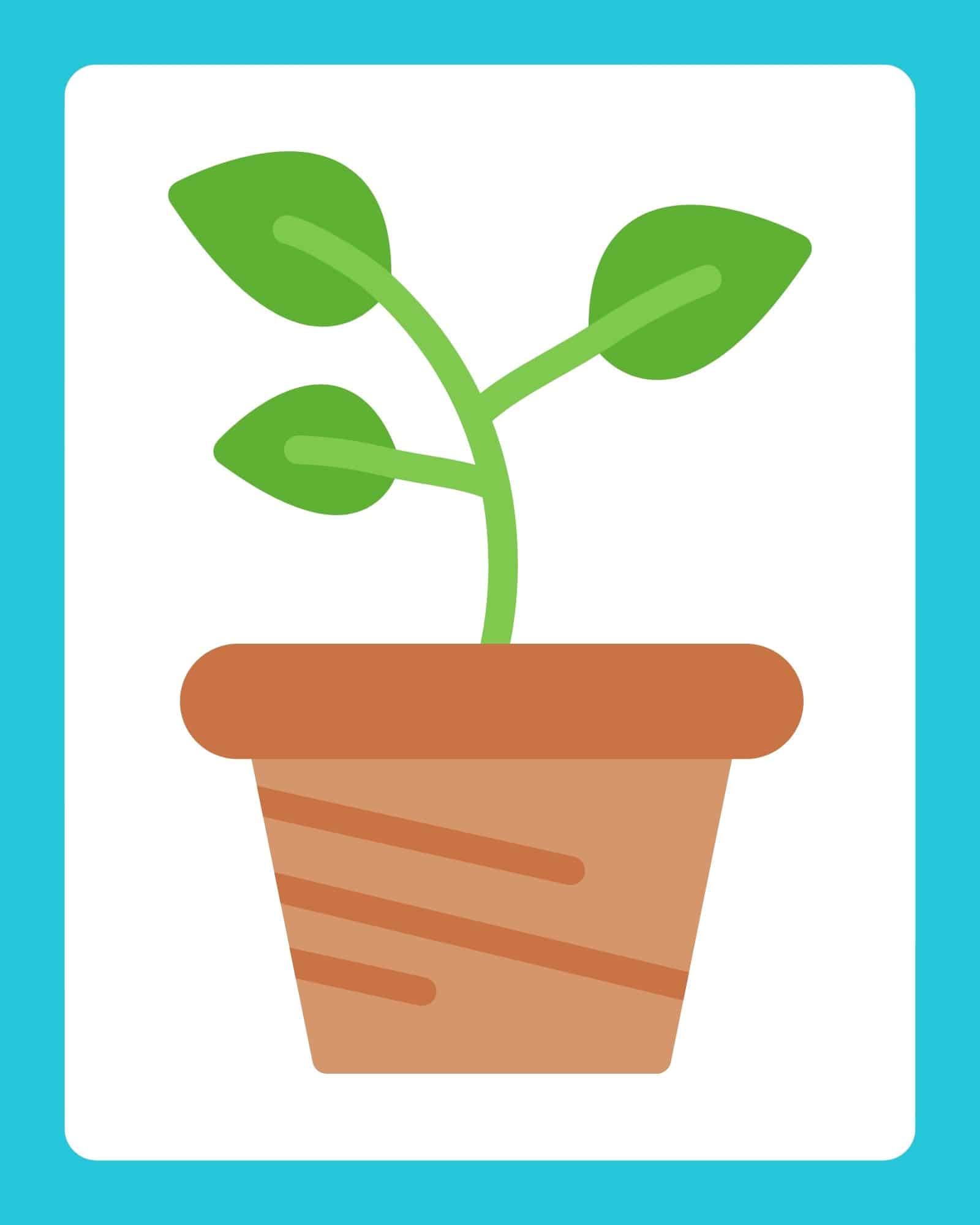 A simple green sprout with three leaves grows from a brown terracotta pot centered on a white card with a turquoise border.
