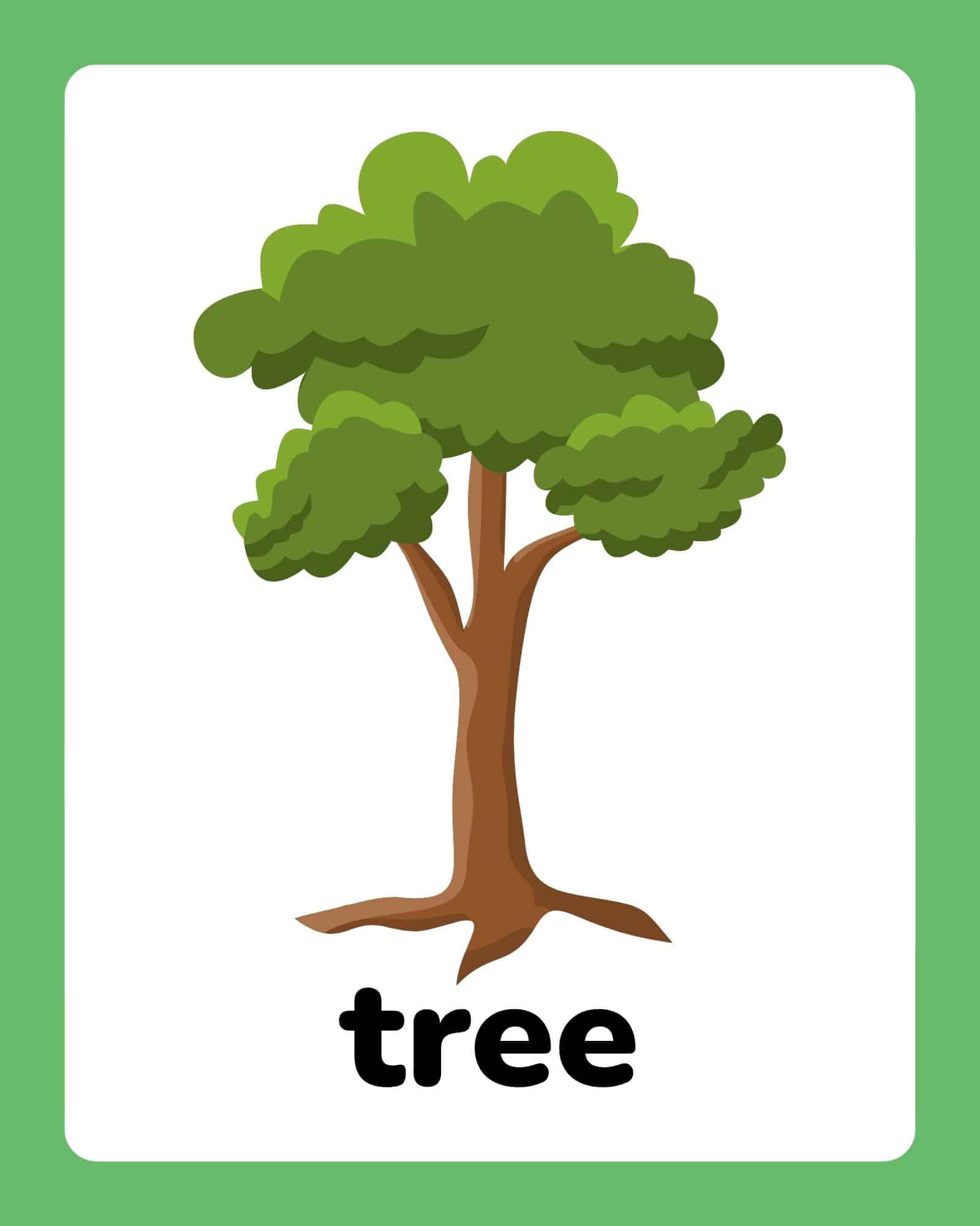 A simple cartoon tree with a brown trunk, green layered canopy, and exposed roots centered on a white card with a green border.
