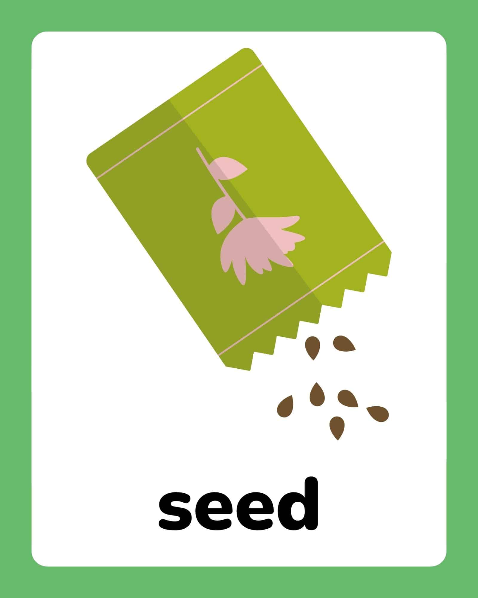 A green seed packet tipped diagonally spilling small brown teardrop-shaped seeds against a white card with the word 'seed' below.
