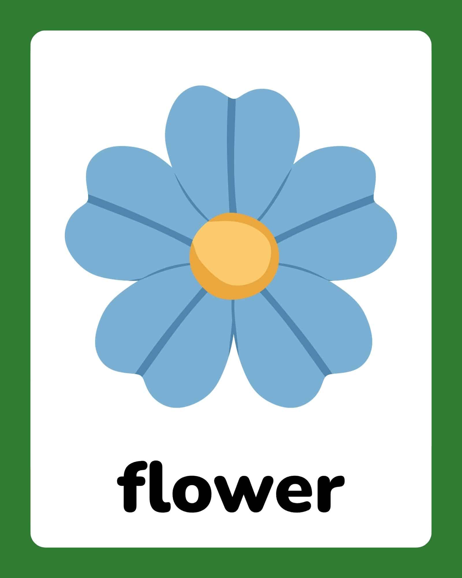 Simple flat blue flower with eight rounded petals and a yellow center centered on a white card with green border.