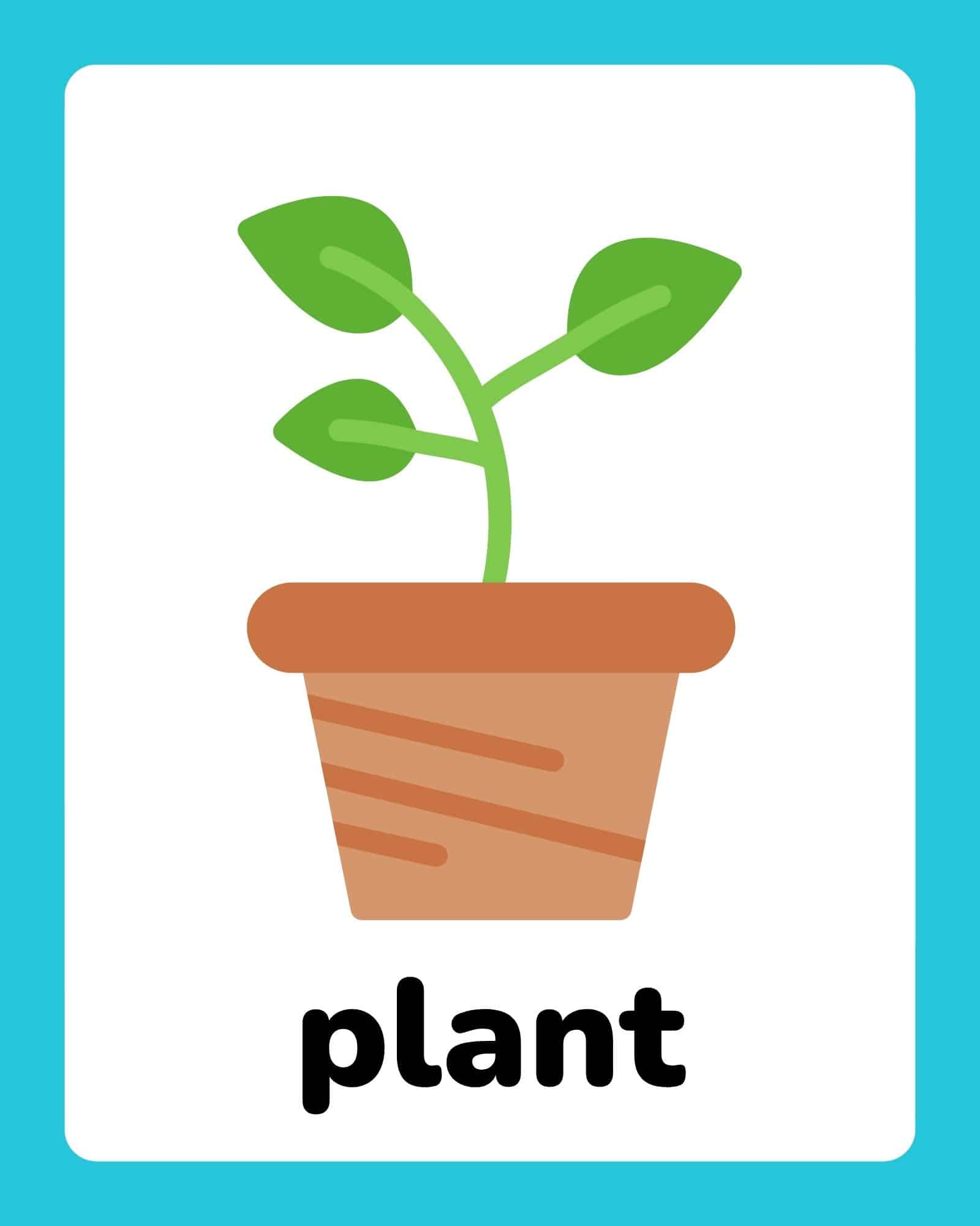 Simple flat illustration of a small green sprout with three leaves growing in a brown terracotta pot centered on a white card with turquoise border.