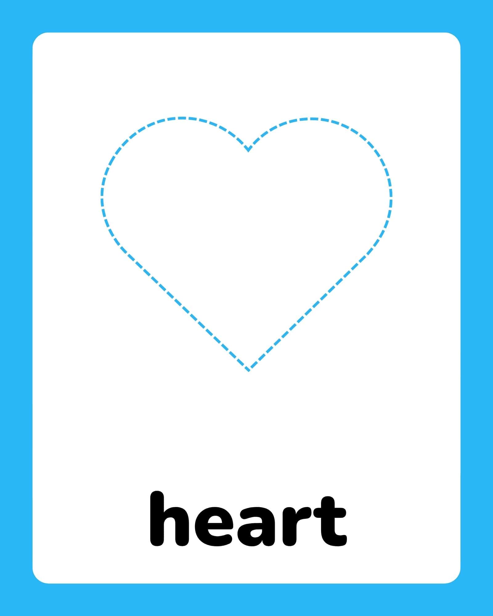 White flashcard with a dashed cyan heart outline centered above the bold black word “heart” on a cyan background.