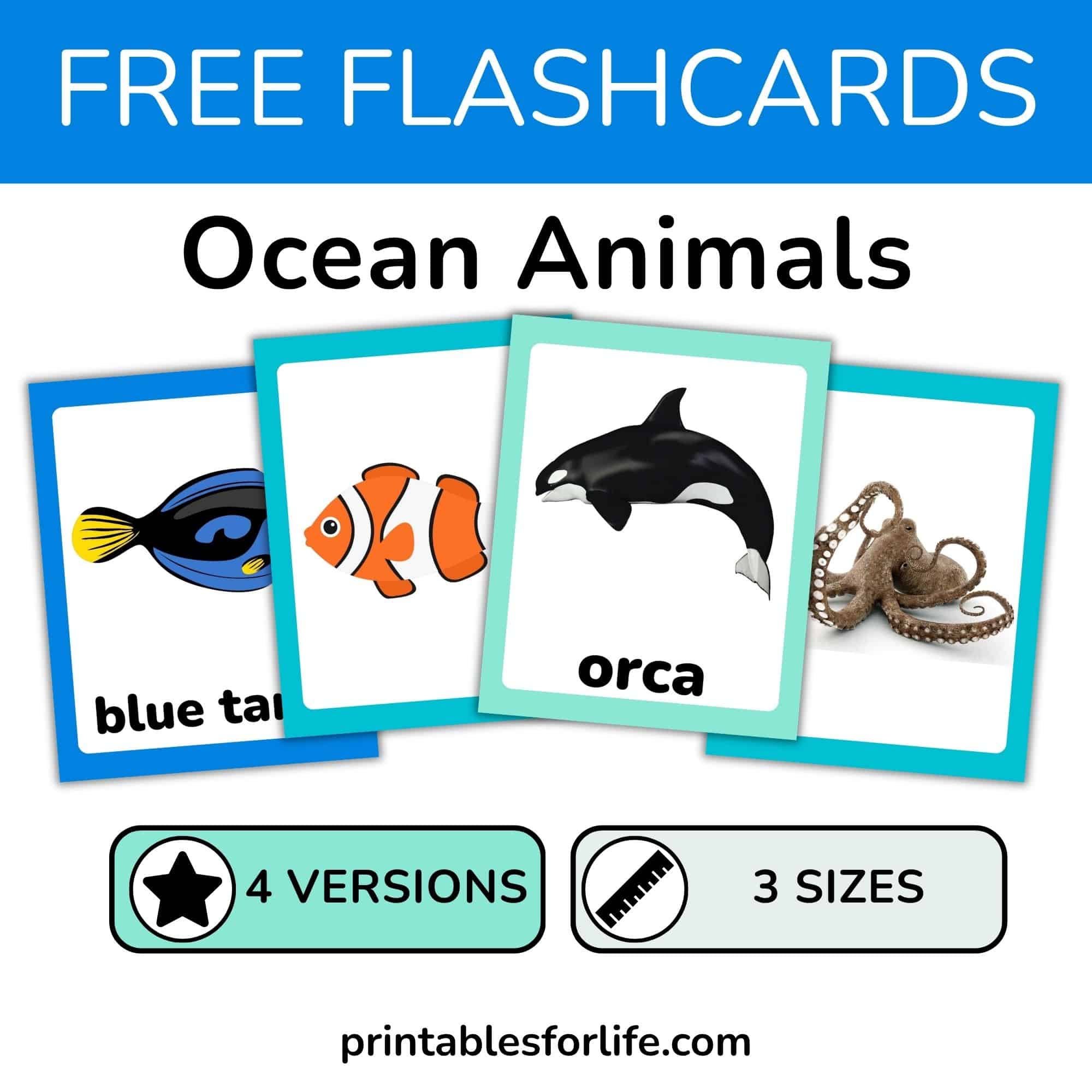 Set of ocean animal flashcards. Illustrated and realistic images with and without text in 3 sizes.