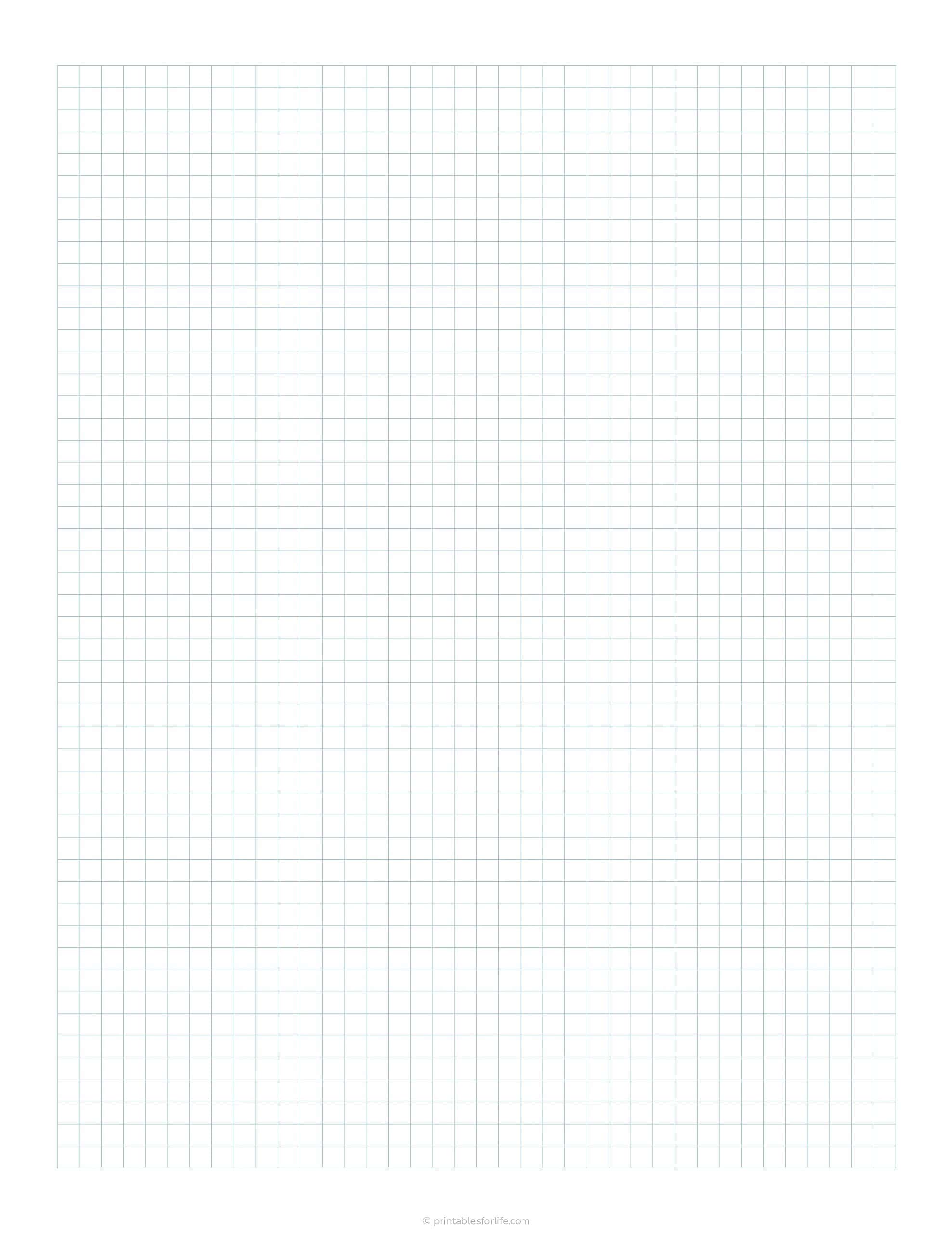 Large vertical sheet of pale blue graph paper with faint one-centimeter grid lines and a white border.