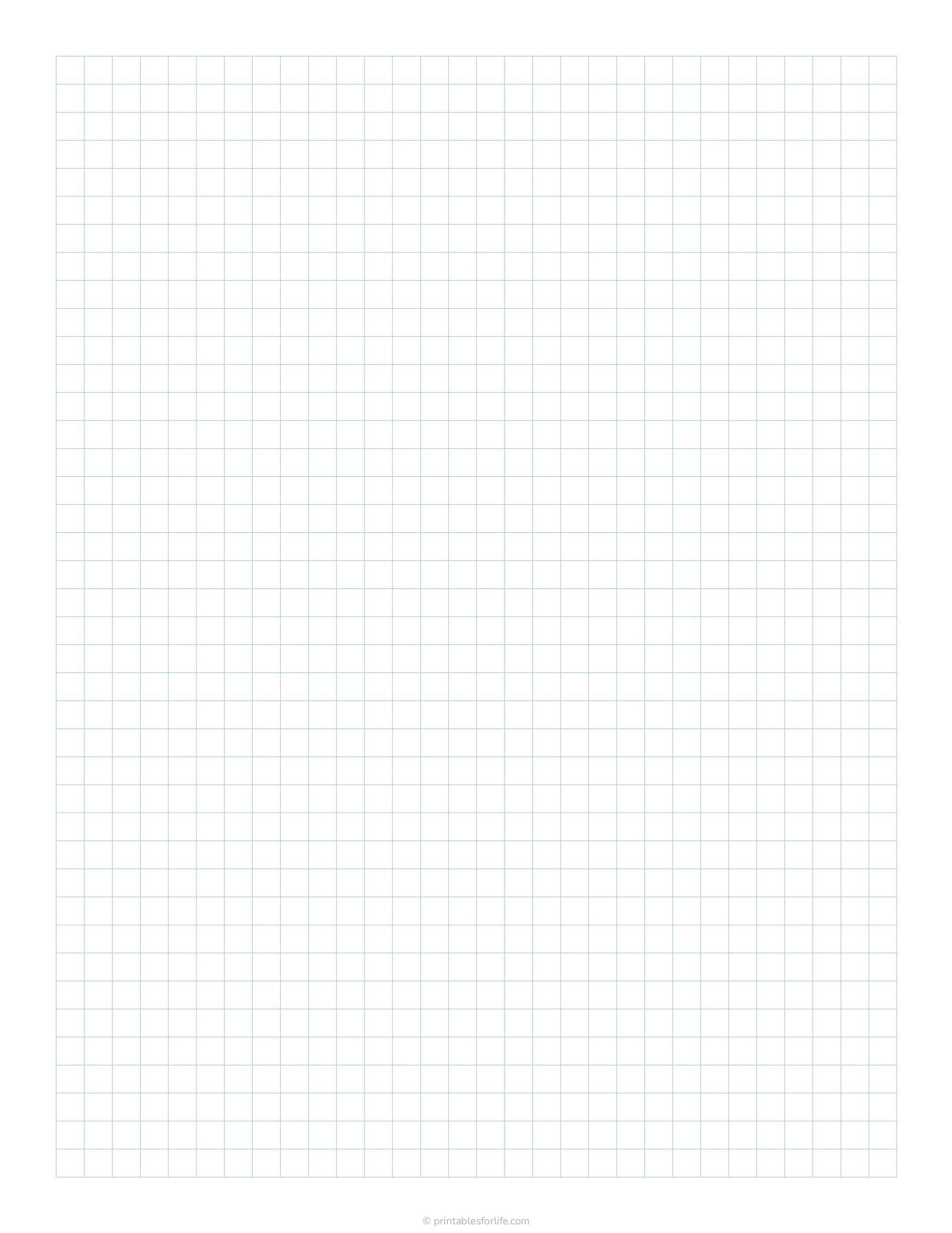 Large vertical sheet of pale blue graph paper with evenly spaced light blue grid lines and wide white margins.