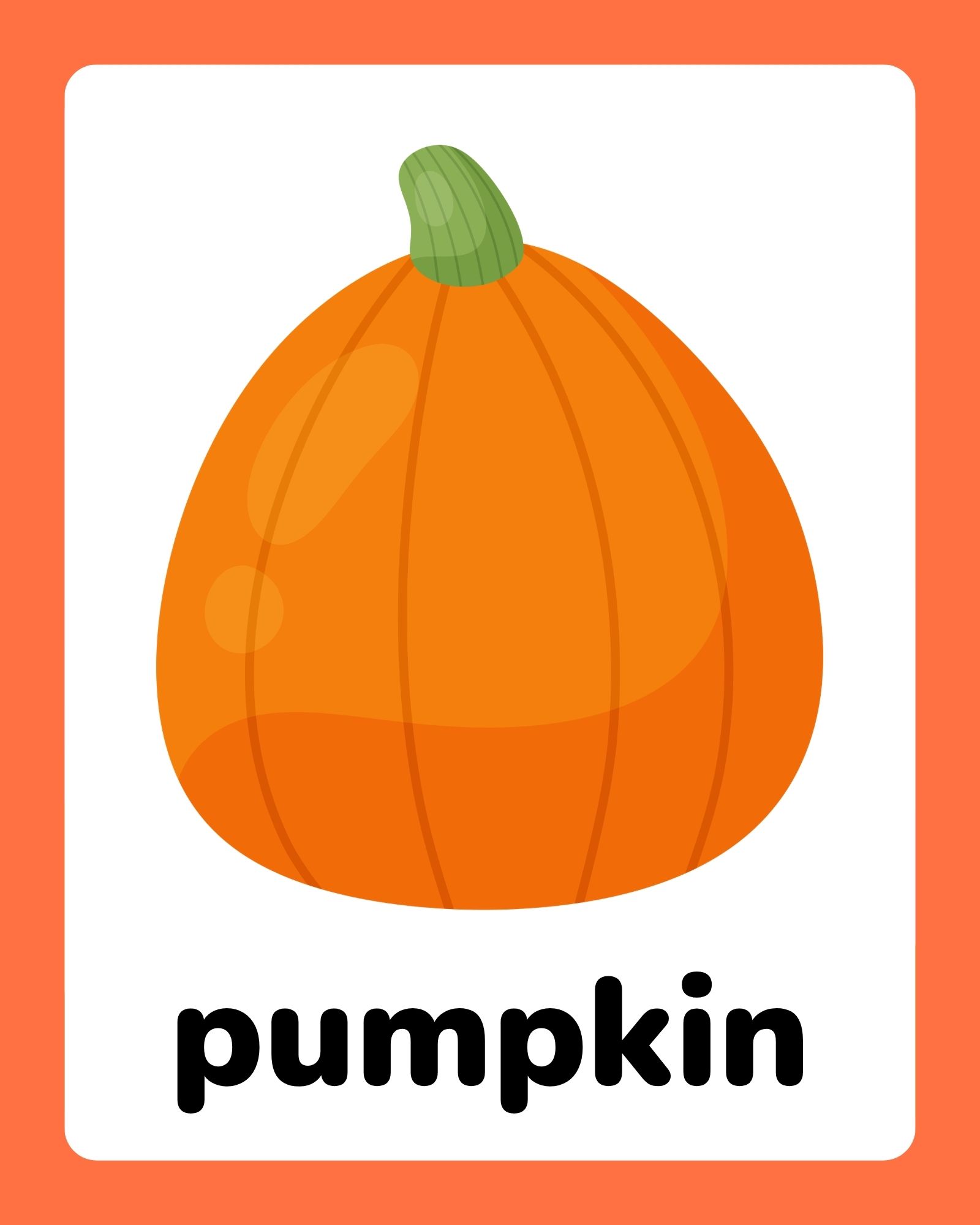 Bright orange pumpkin with green stem centered on a white card with rounded corners and coral border, bold black label below.