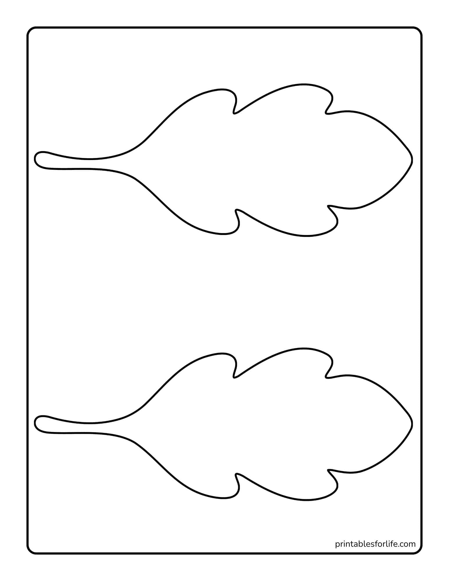 Two large outlined oak leaf shapes arranged vertically on a white page with rounded rectangular border.