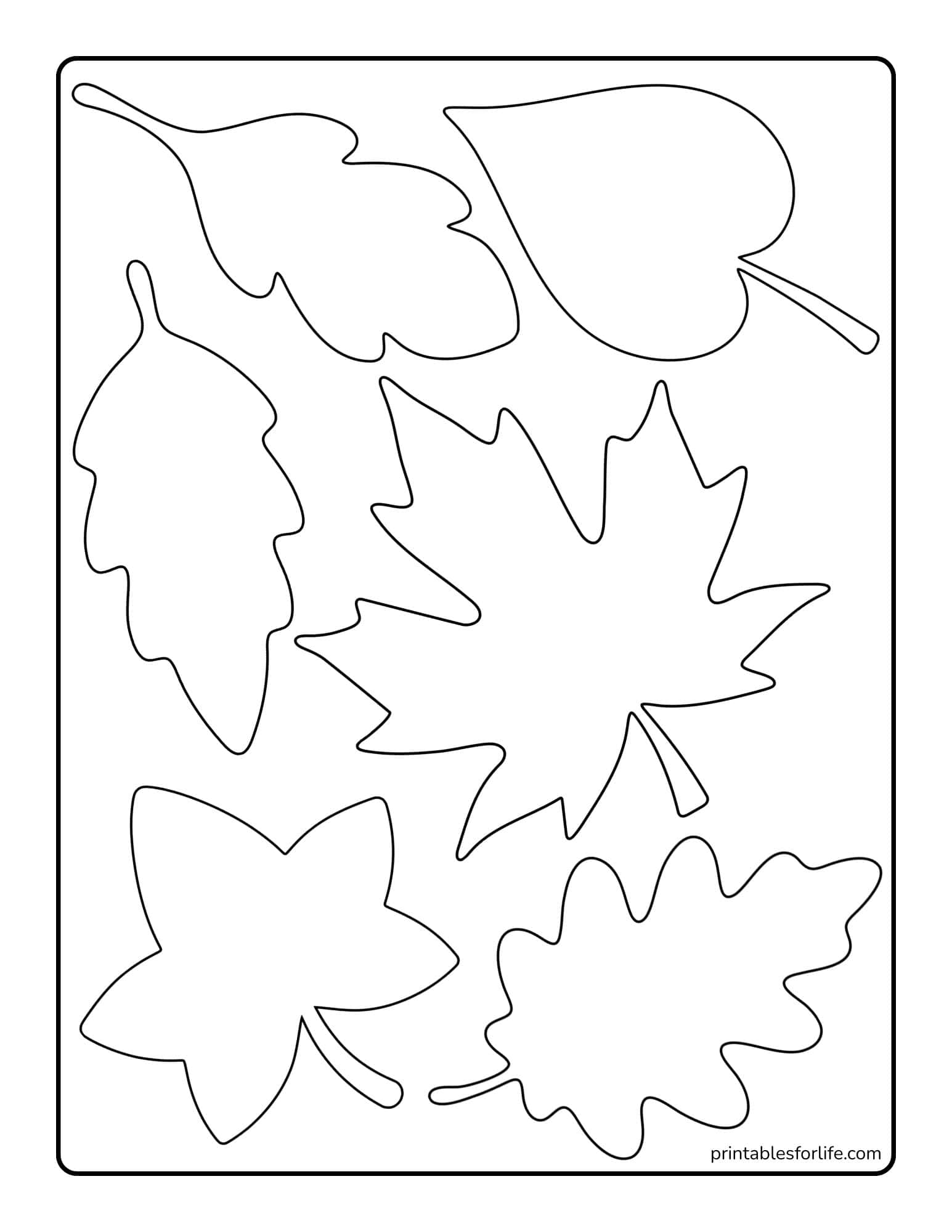 Black outlined autumn leaf shape templates arranged on a vertical white printable page with rounded border.